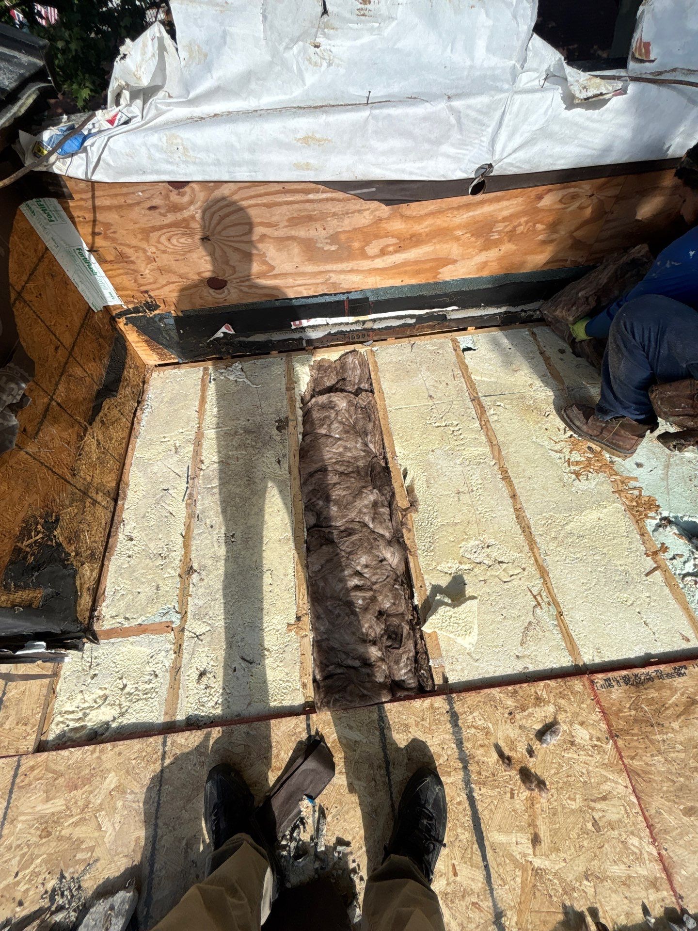 TPO Roof Replacement Project in Philadelphia, Pennsylvania by Philadelphia Quality Roofing