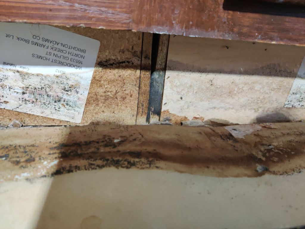 Mold Remediation in Kitchen by Accountable Home Services