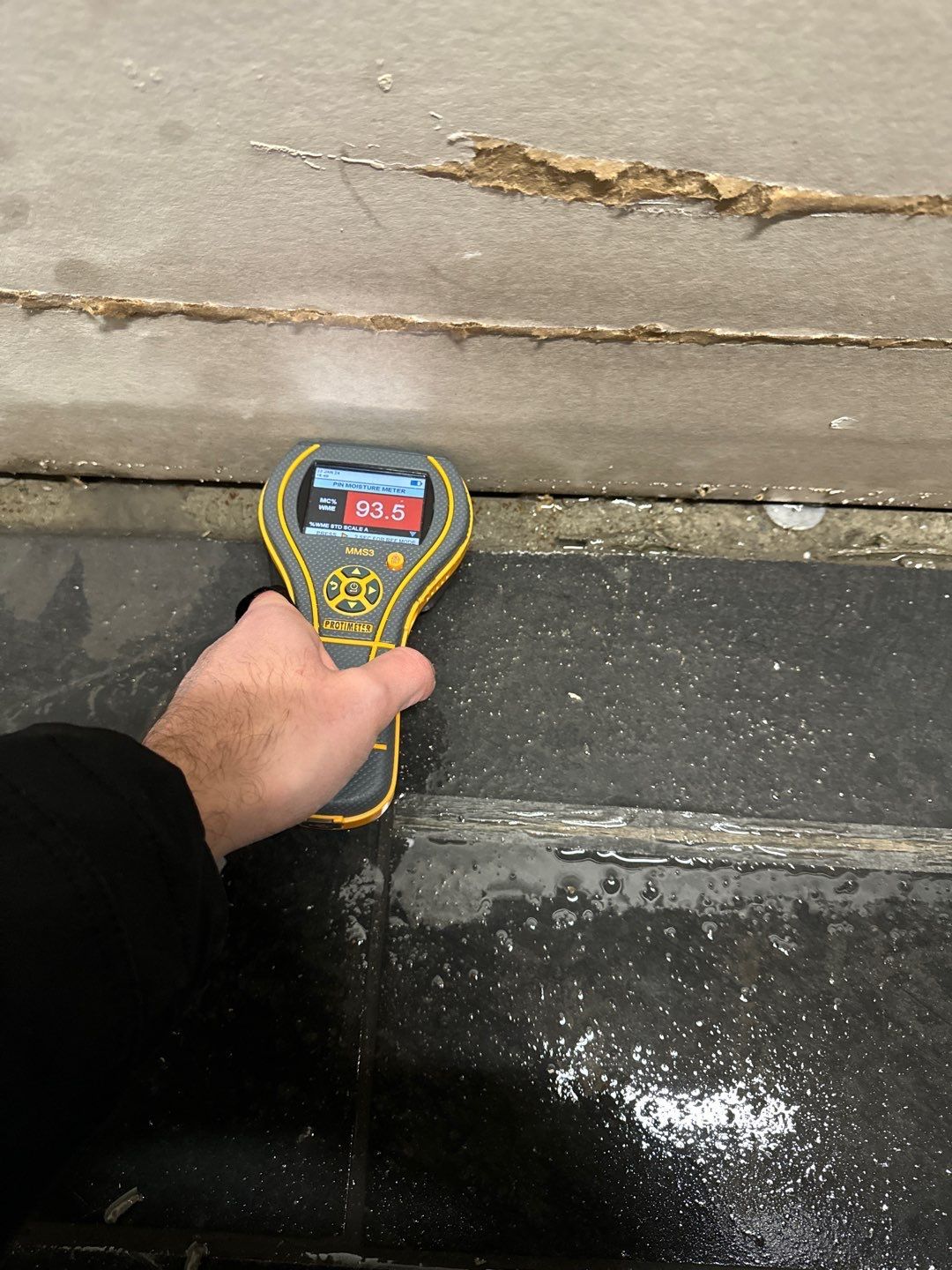 Project in Royal Oak by EzDry Water Mitigation & Property Restoration