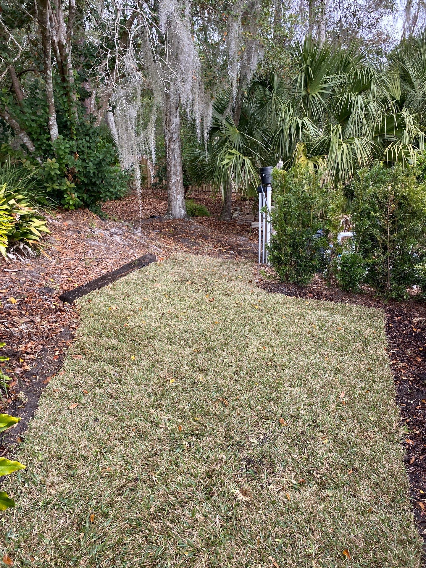 Deerwood Resident | Freshen Up Project by ProGreen Services