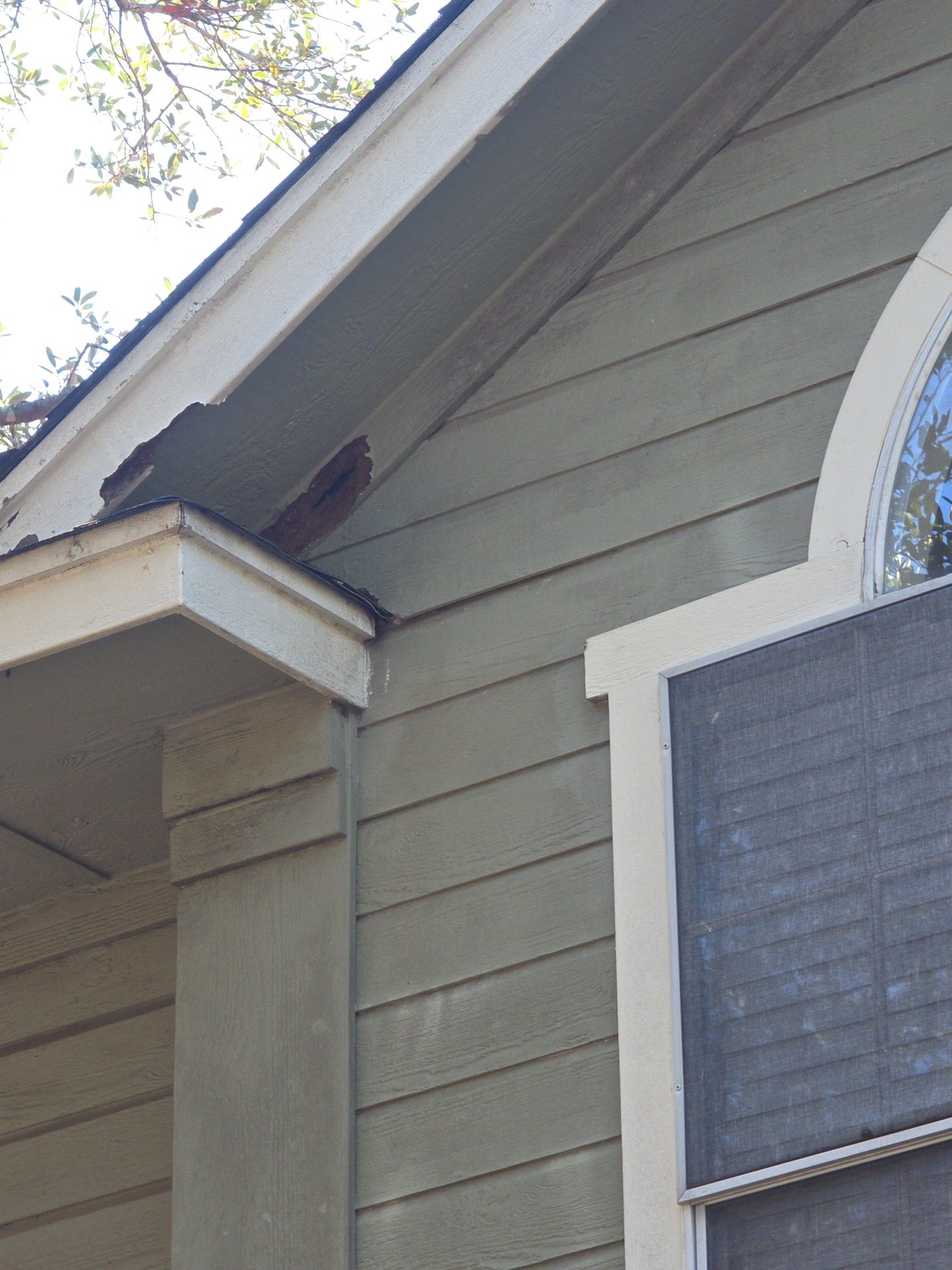 Just another roof ? by REPS OF TEXAS