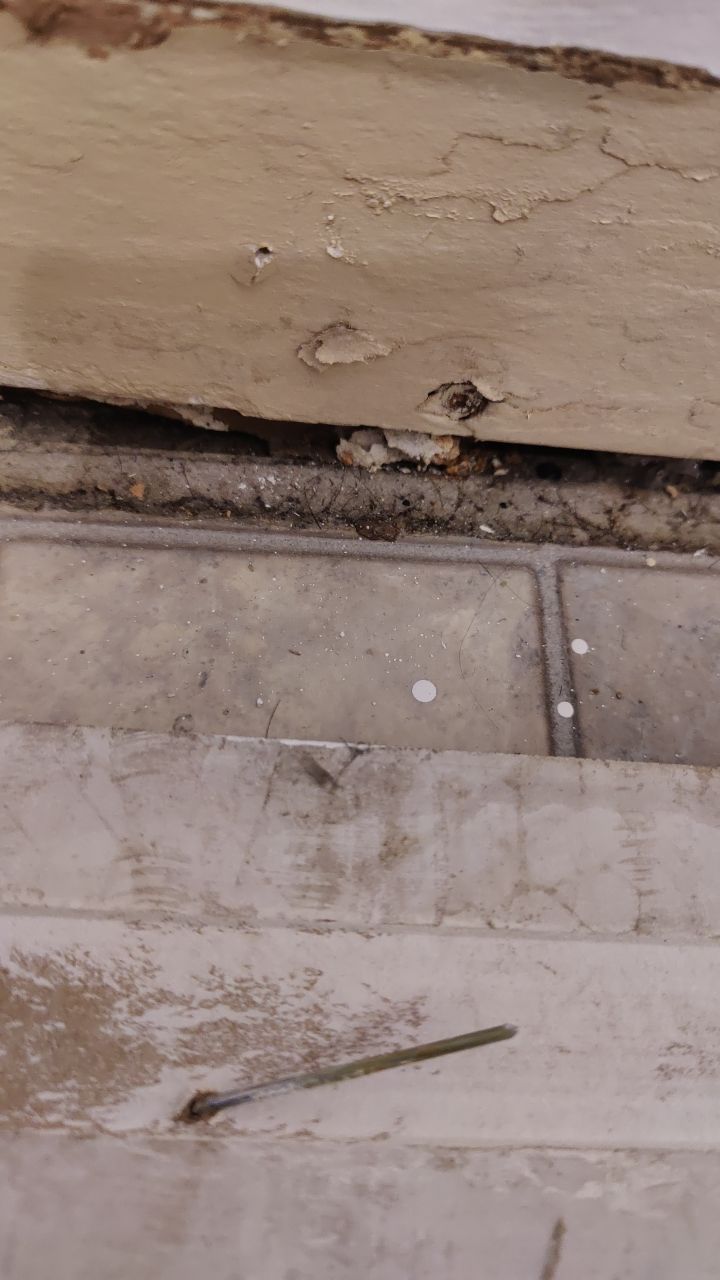 Mold Remediation by Accountable Home Services