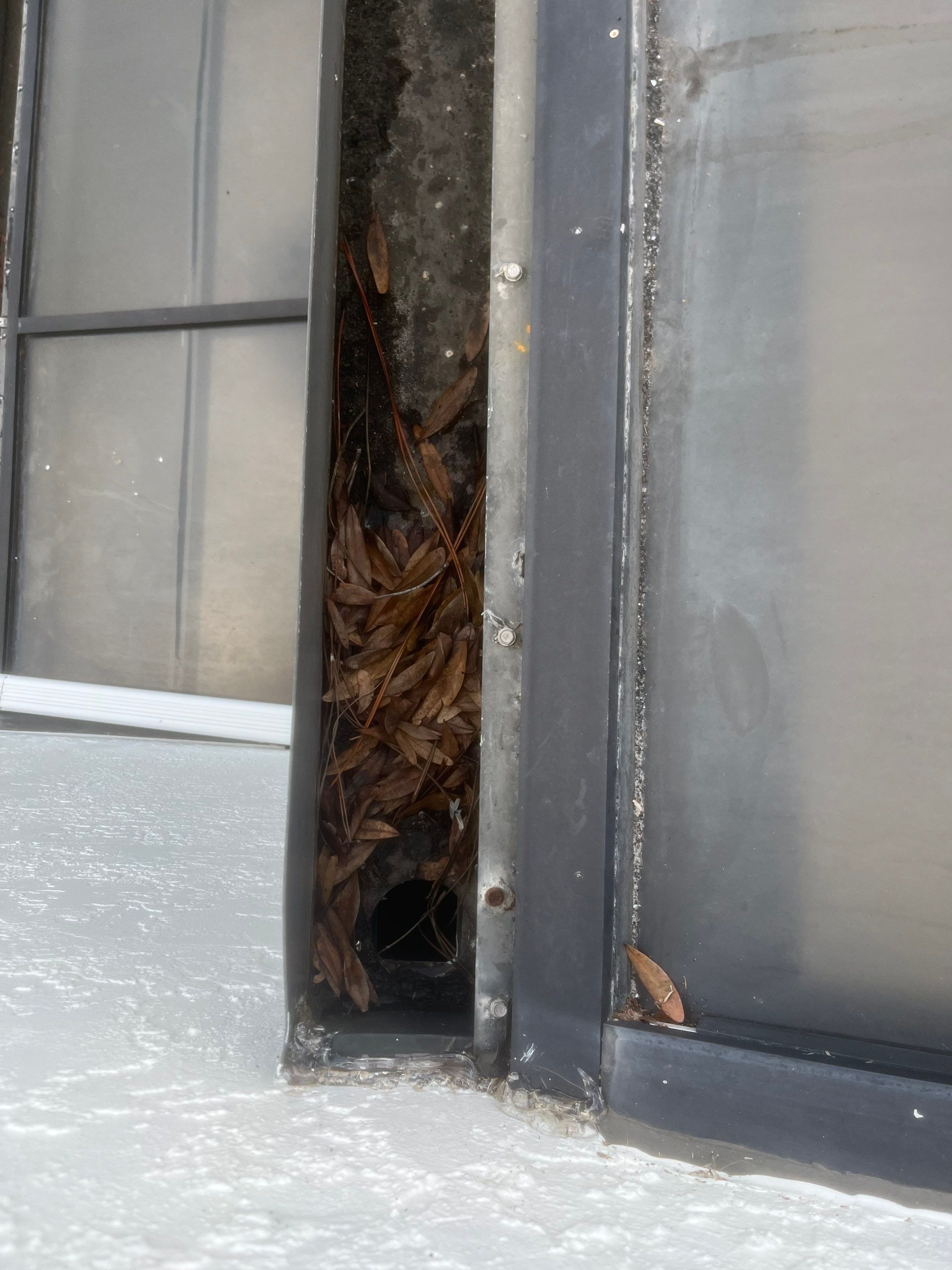 Professional Gutter Cleaning in Fort Myers FL by Gutter Professors