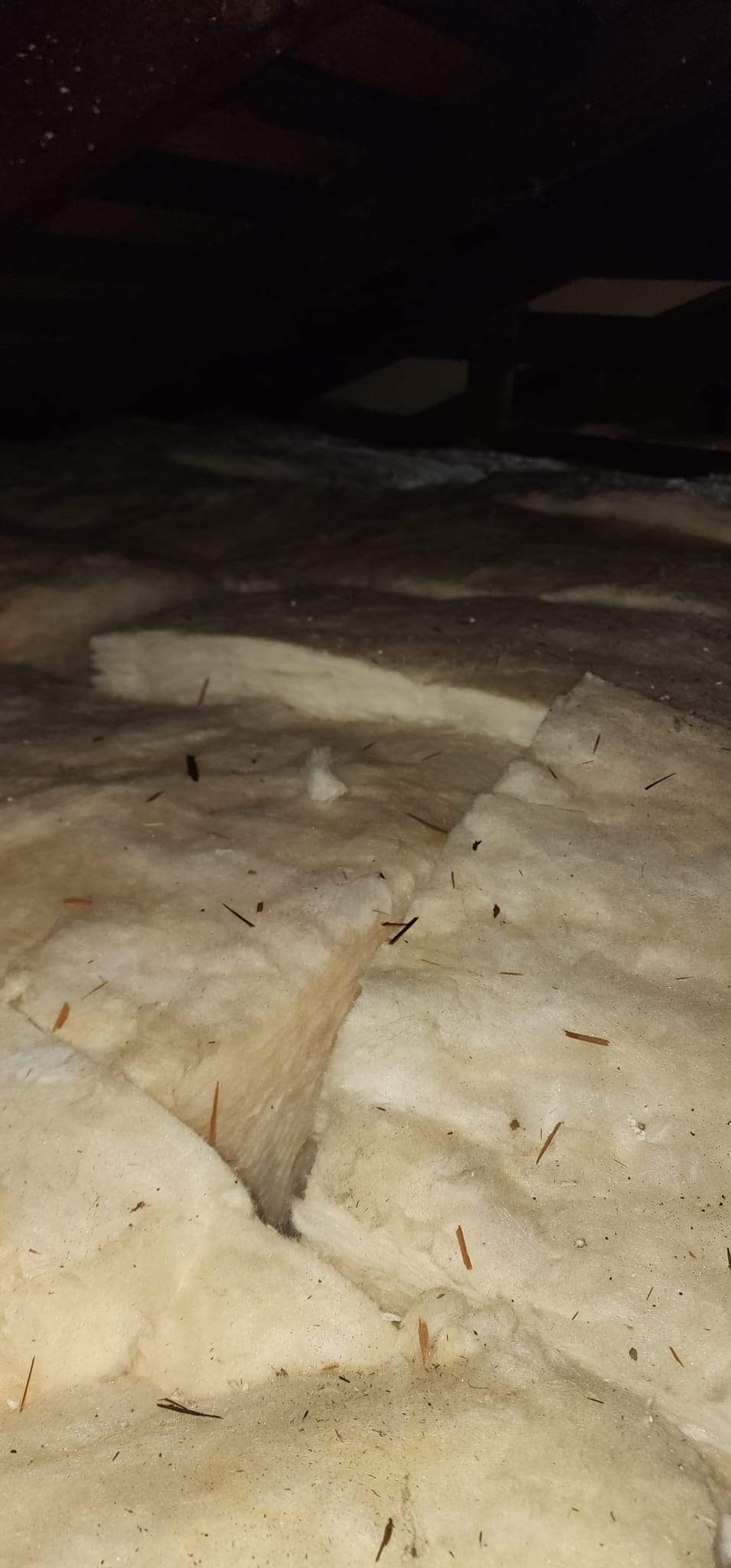 Project by Advanced Attic Solutions by Advanced Attic Solutions