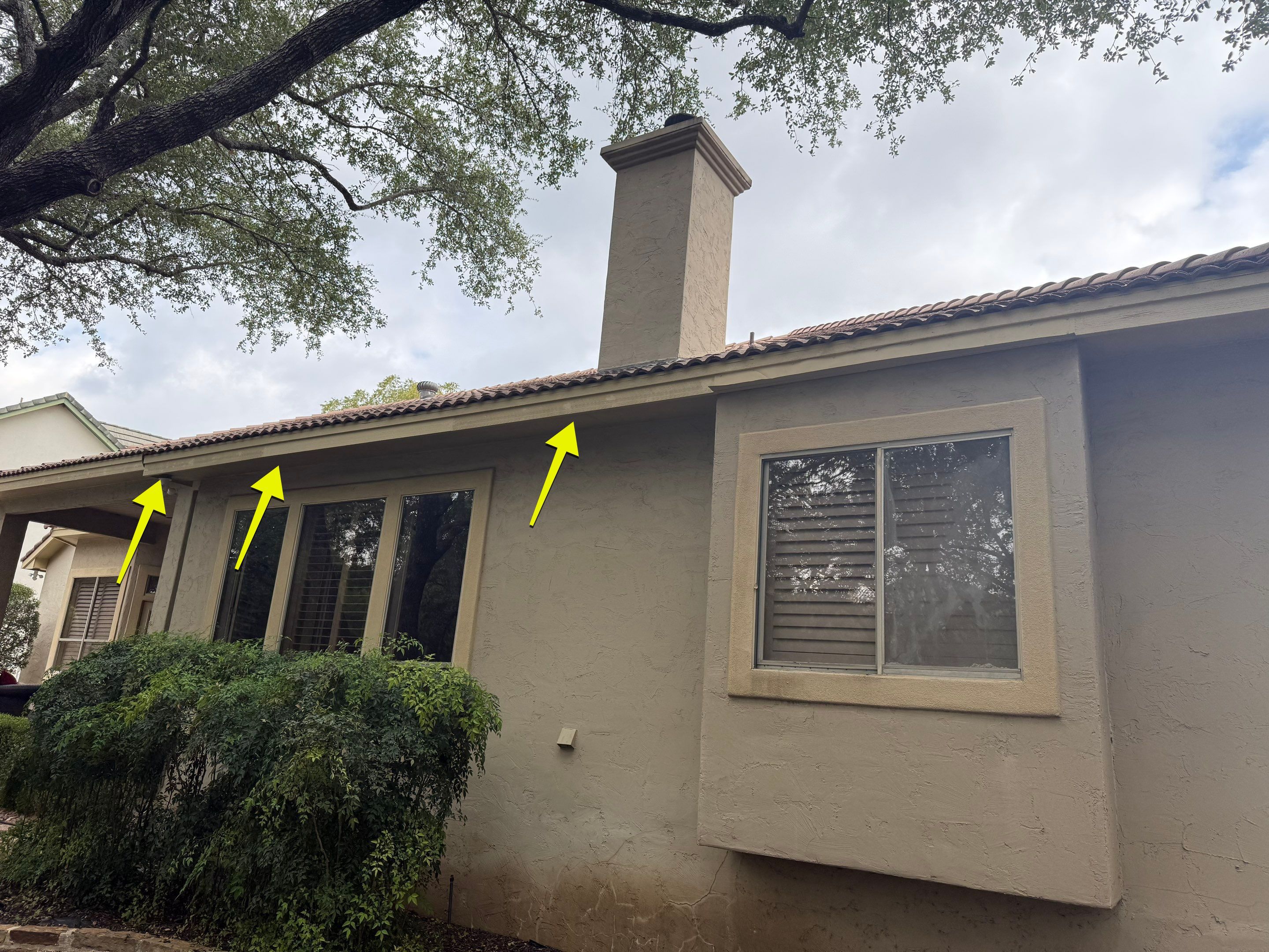 Fascia Carpentry Repair and Paint  by Rox Roofing