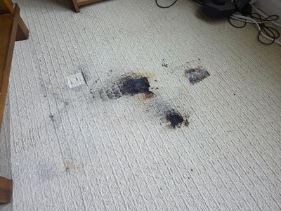 Large Burn, Carpet Repair in EDH
