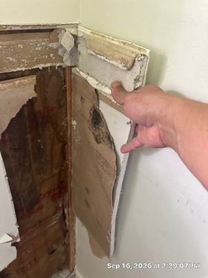 Appliance Leak Cleanup — Marco Island, FL