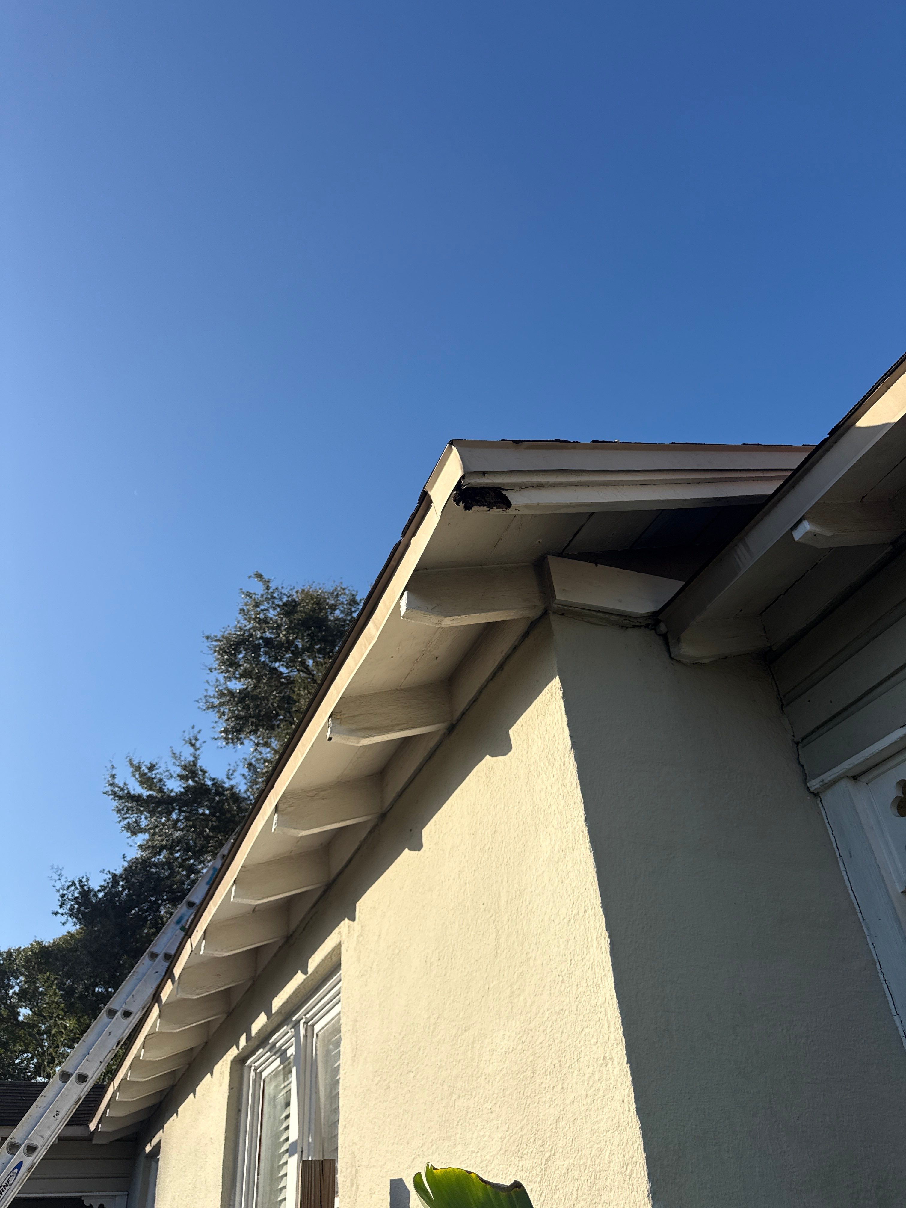 Project in Gulfport 33707 by Mitchell Roofing Company LLC
