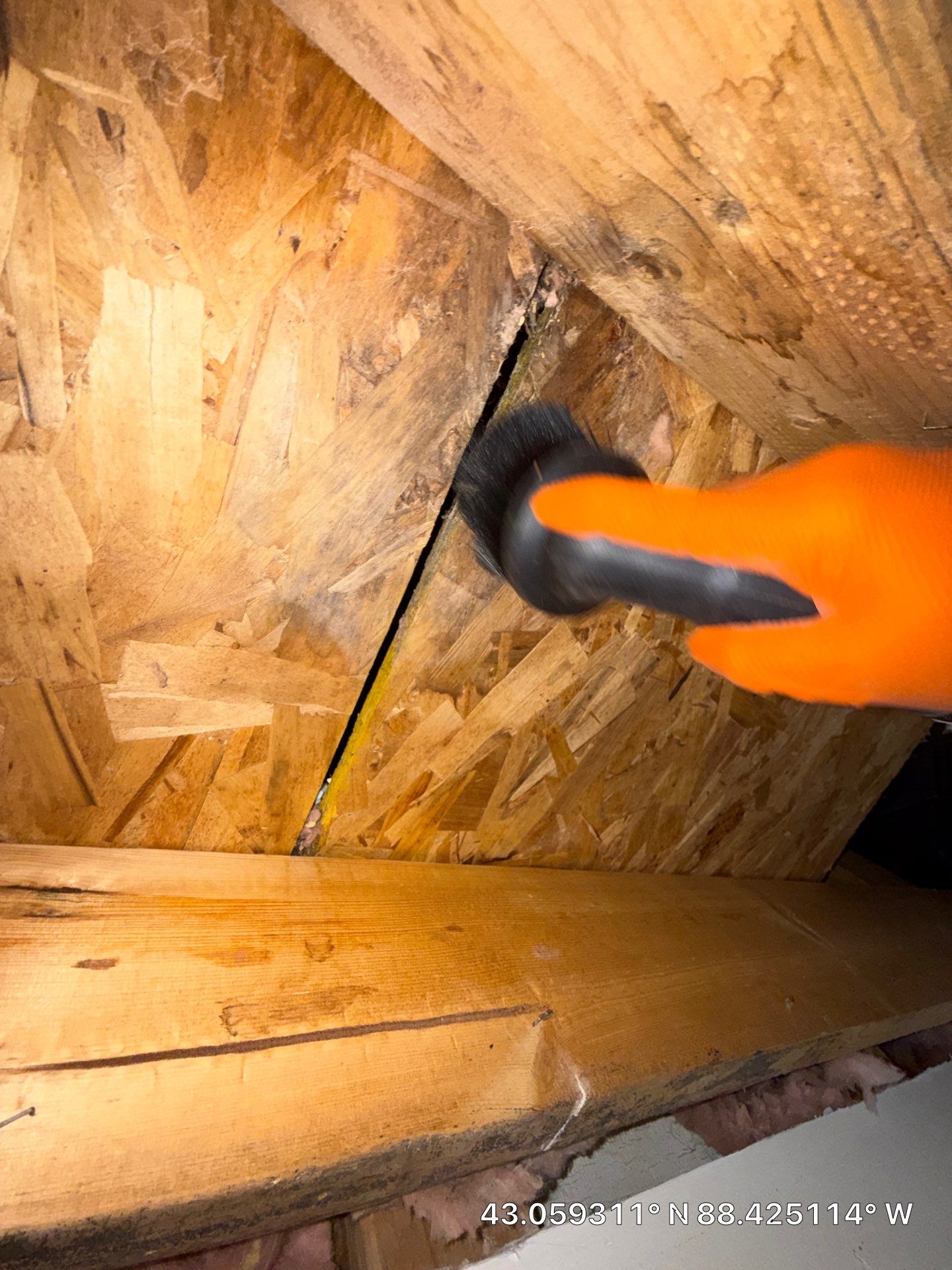 Mold Remediation for Delafield Residential Property by Dry Source Property Restoration 