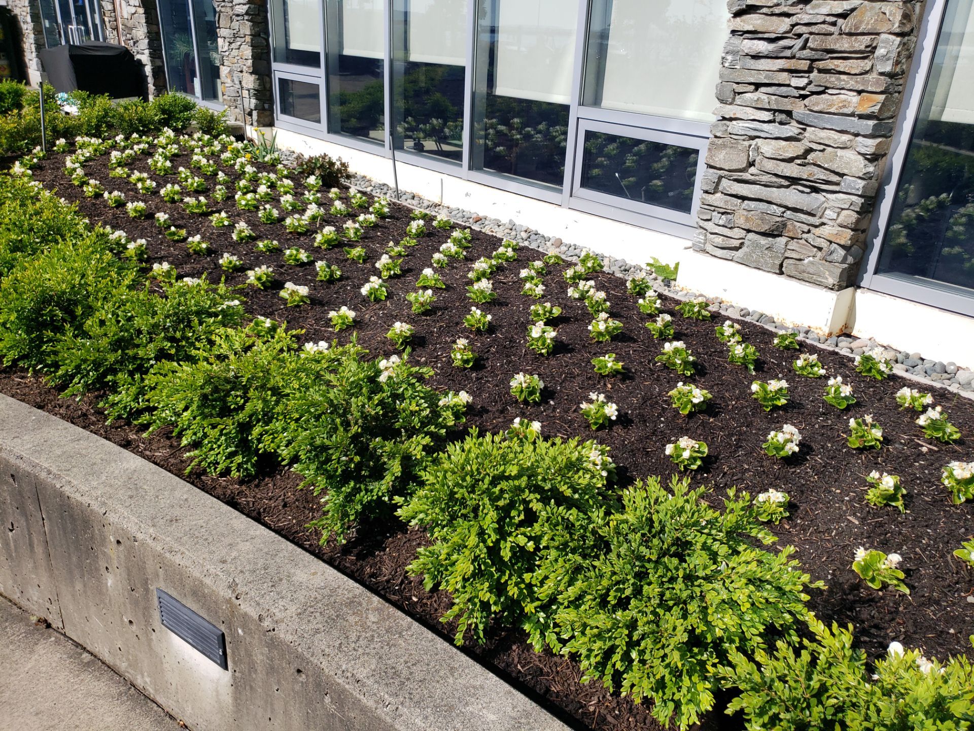 Sidney Pier by Habanero Garden and Exterior Care