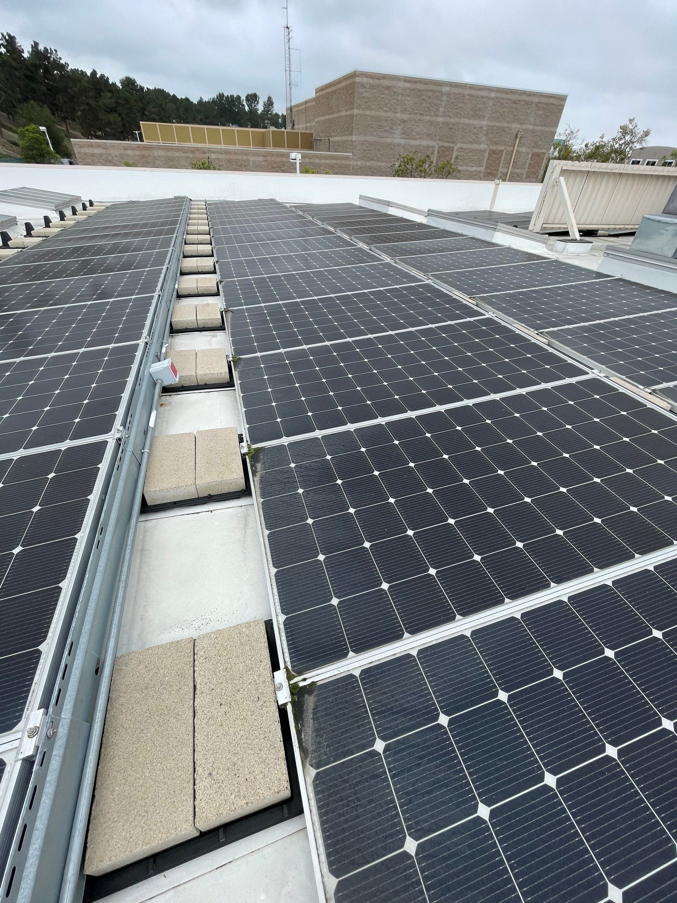 Commercial Solar Cleaning by Palm Coast Solar Cleaning