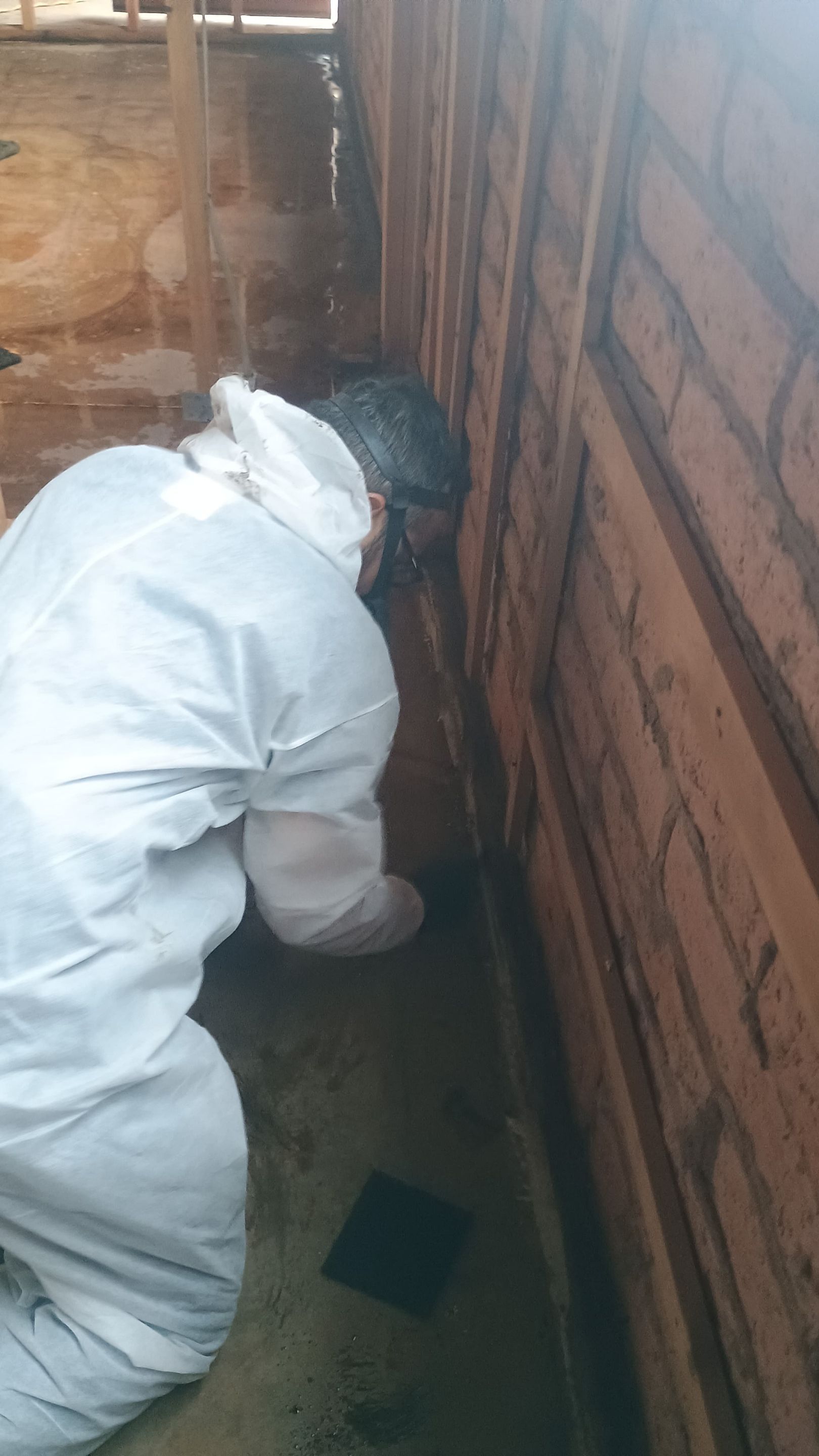 Project in Chandler, AZ by Desert Valley Abatement, LLC