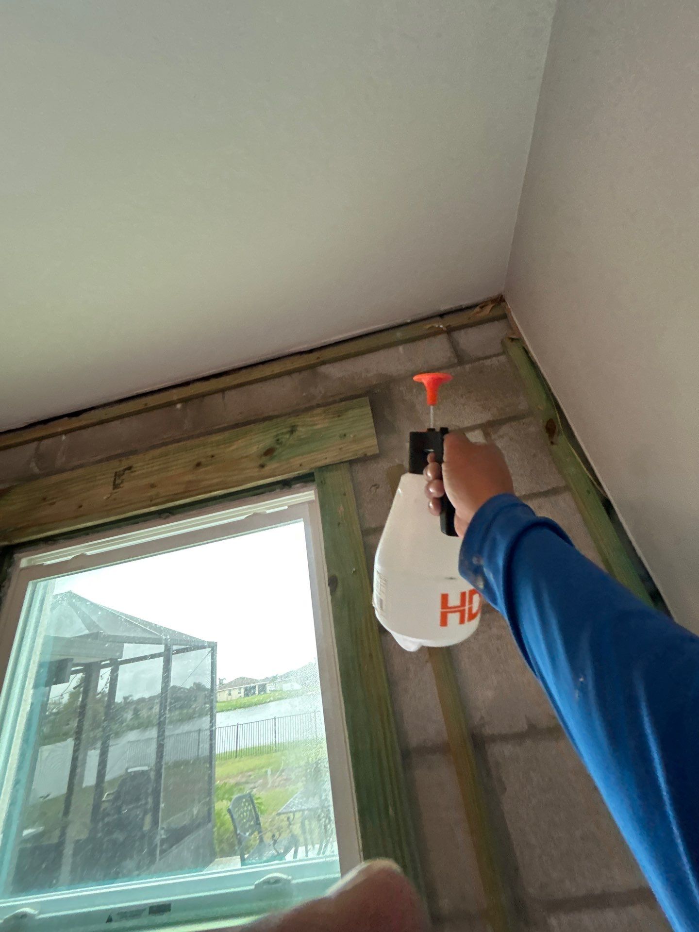 Bradenton Mold Removal by Ampm Restoration Services