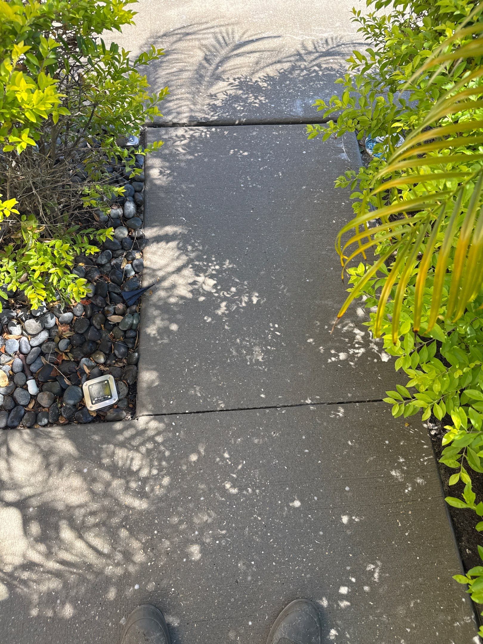 Concrete Driveway, Sidewalk, and Entryway Cleaning in Raven Crest, Bradenton, FL by Sunshine AquaWash