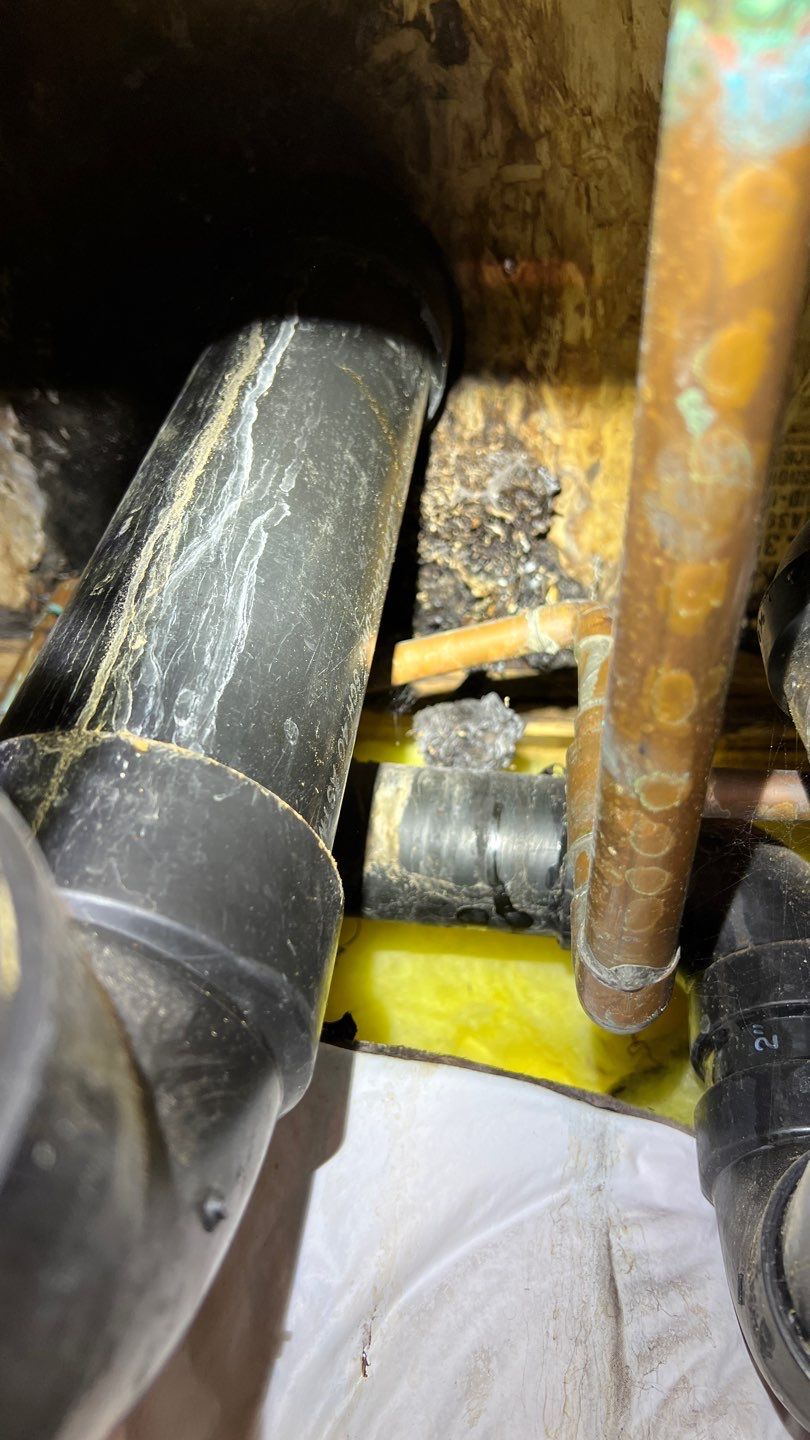 Mold Remediation by Accountable Home Services