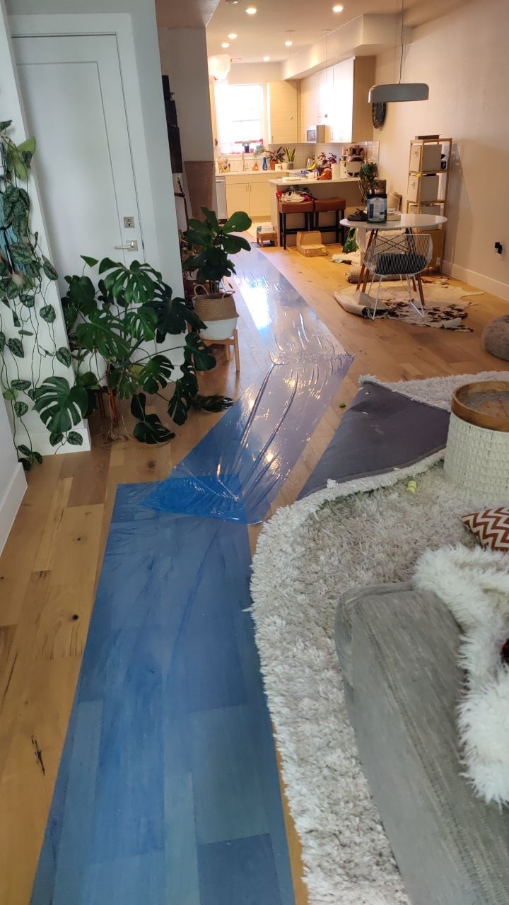 Mold Remediation  by Accountable Home Services