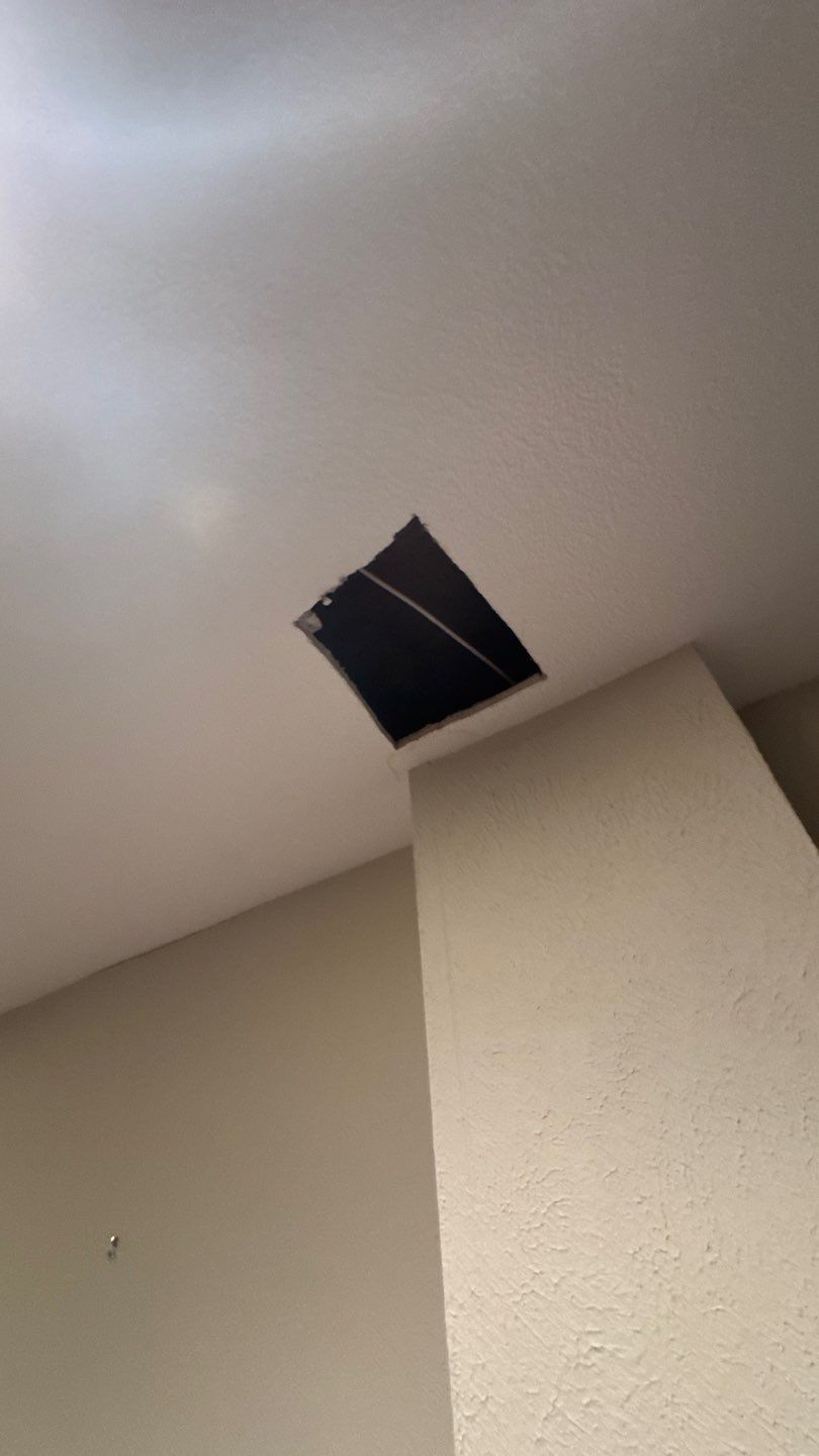 Mold Project in Englewood by Accountable Home Services
