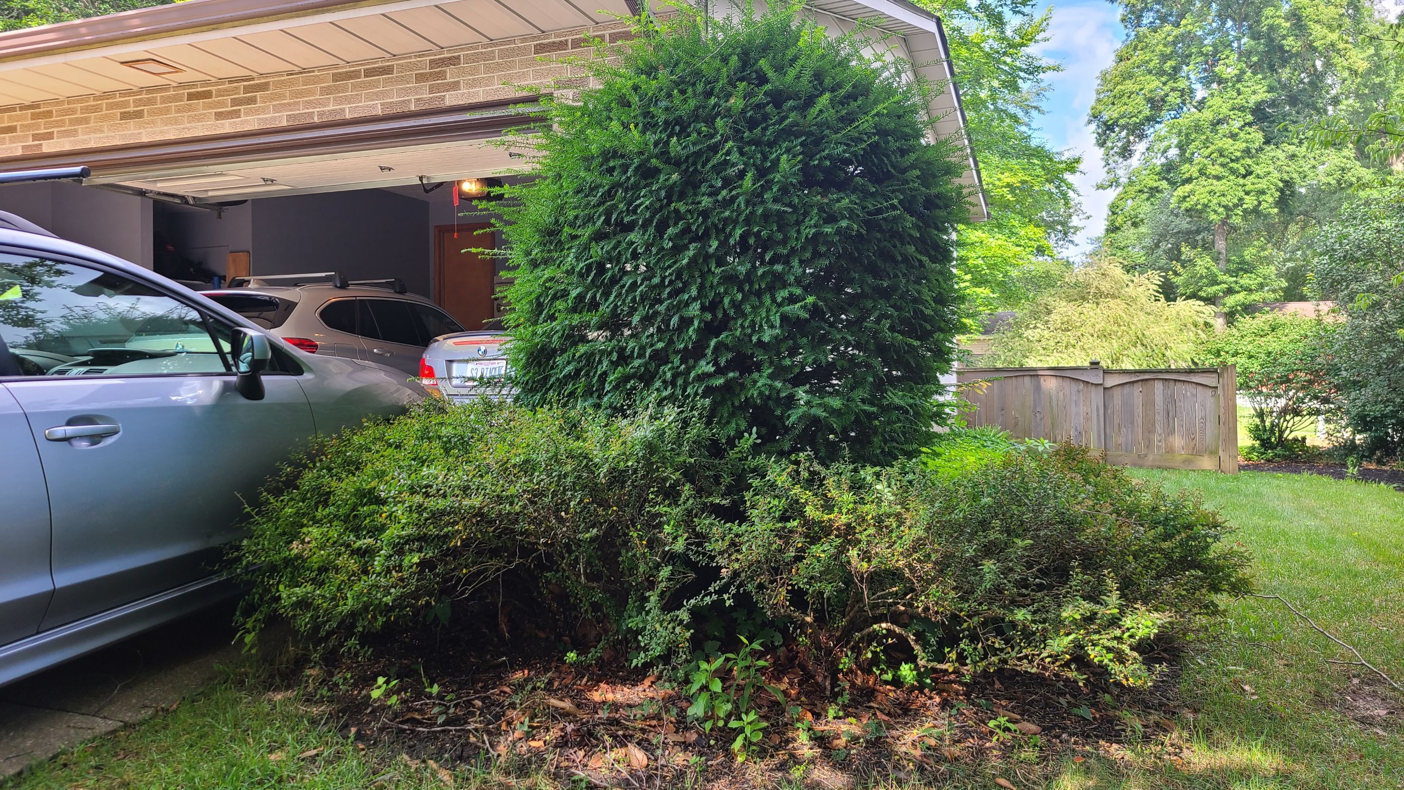 Tree Removal using Tree Removal by Mike Jones & Sons Tree Service LLC 