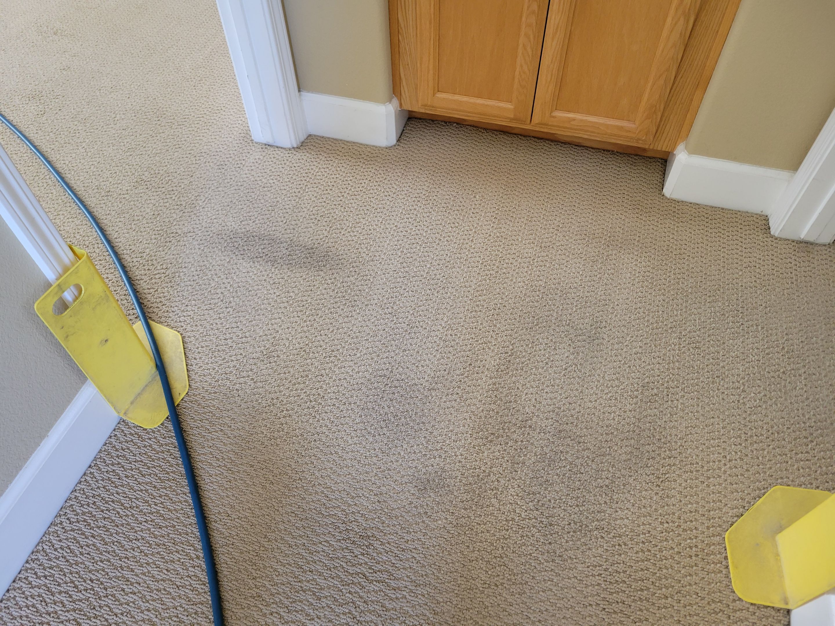 Looped-pile Carpet Cleaning by Ardent Carpet Restore LLC