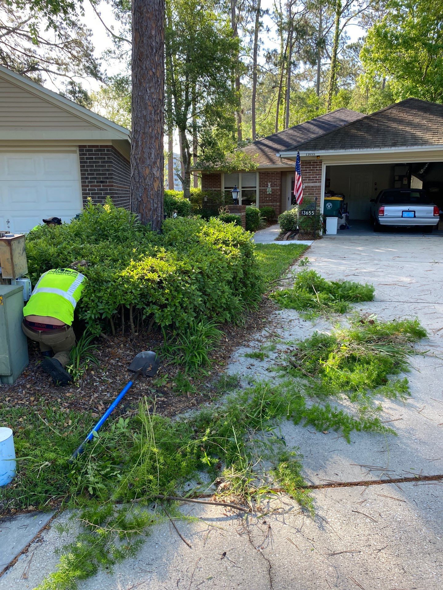 Residential | Volunteer Clean-Up by ProGreen Services