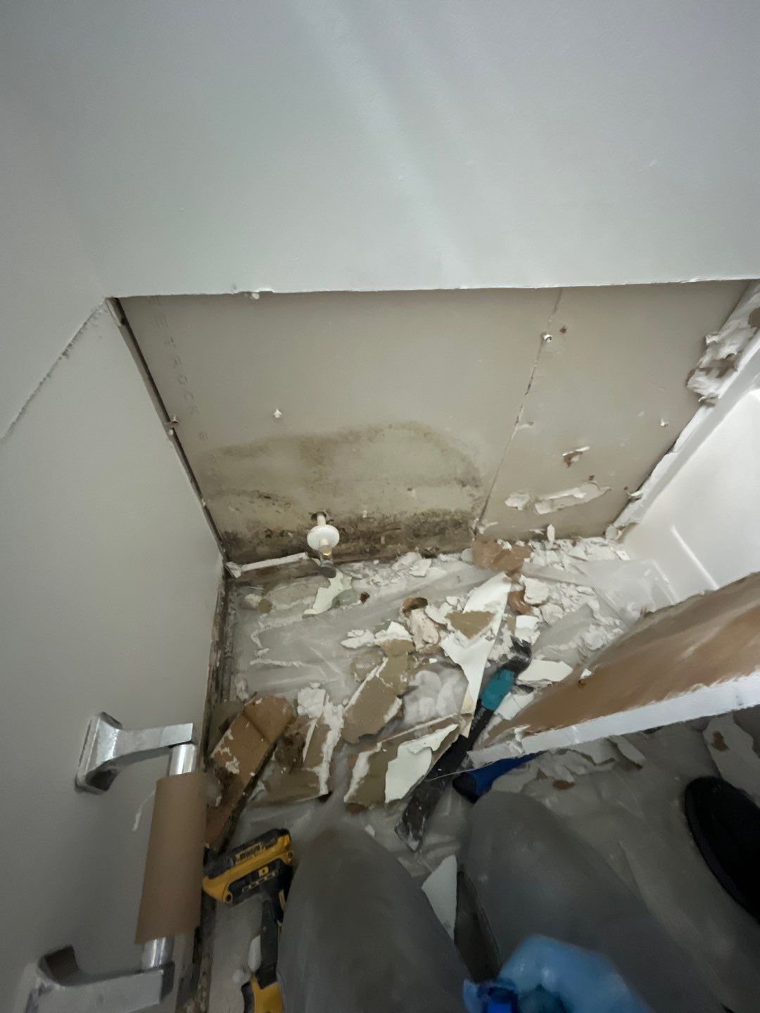 Mold Remediation plus Construction by EAS Environmental, LLC.