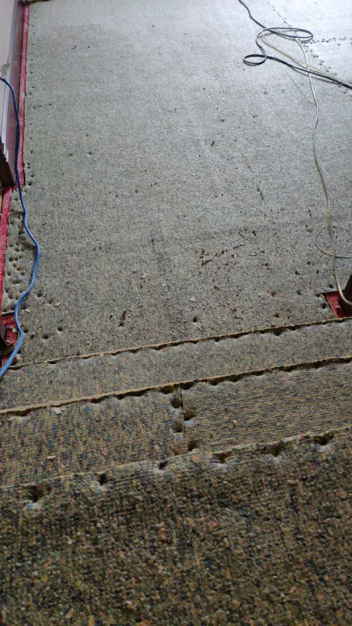 Water Damage Throughout Main Floor, Basement, and Crawl Space by Accountable Home Services