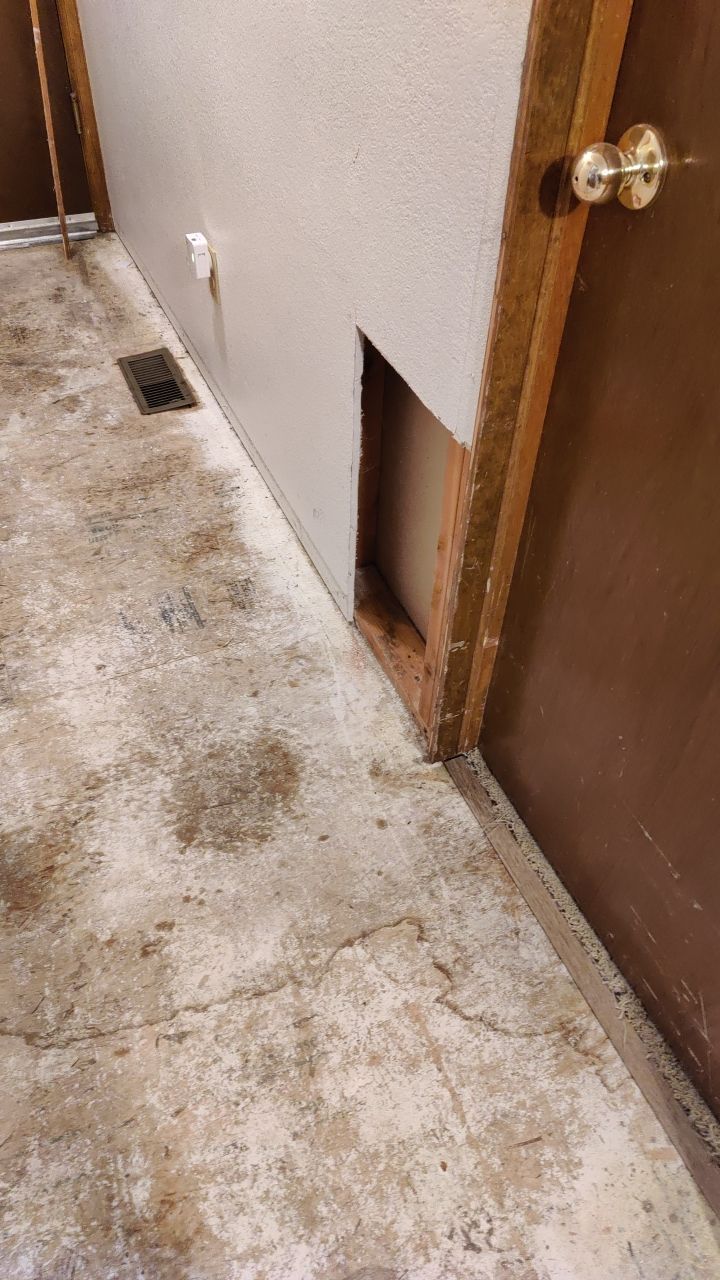 Water Damage  by Accountable Home Services