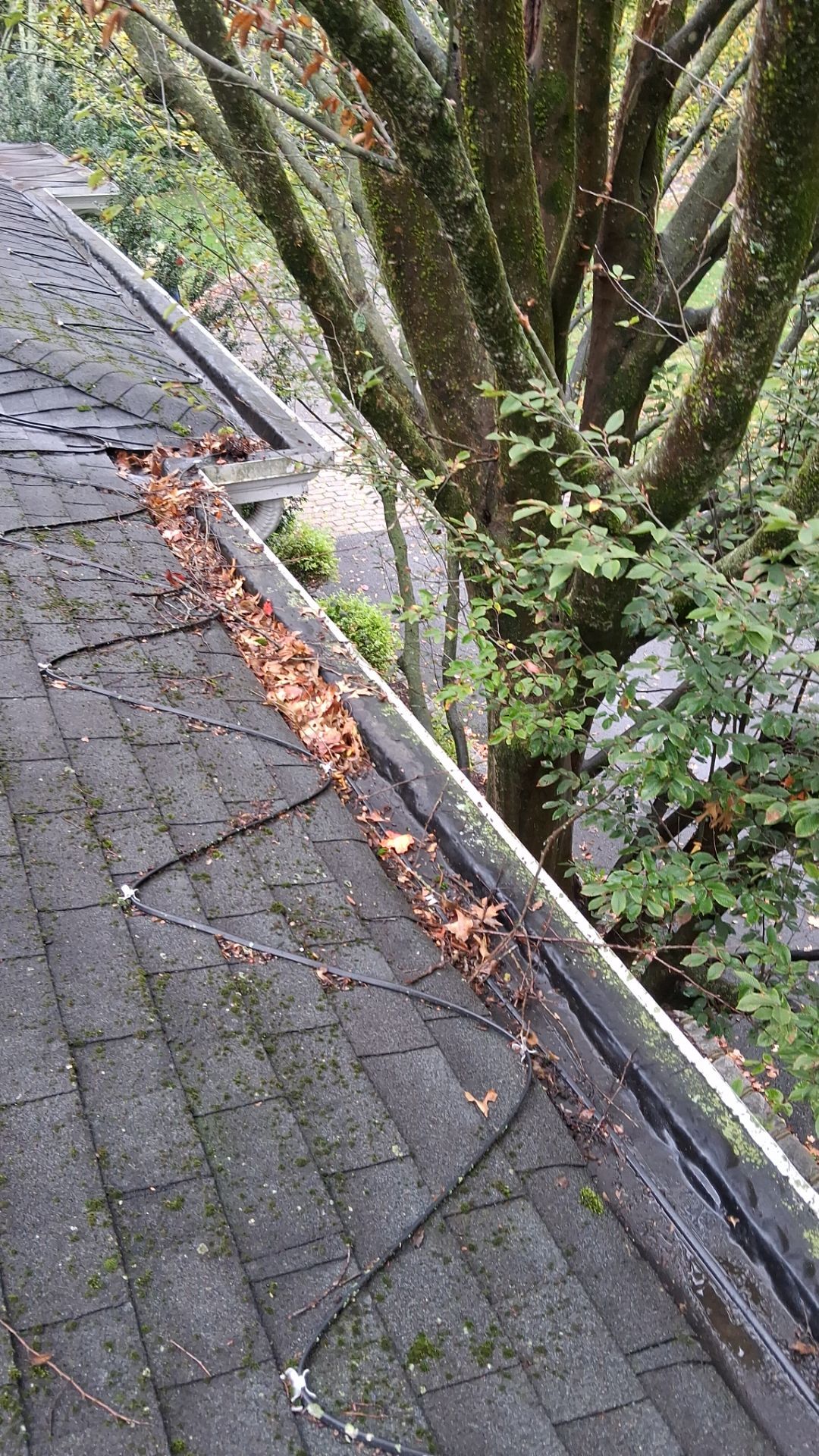 Project in Morristown, New Jersey by NJ Home Maintenance Services