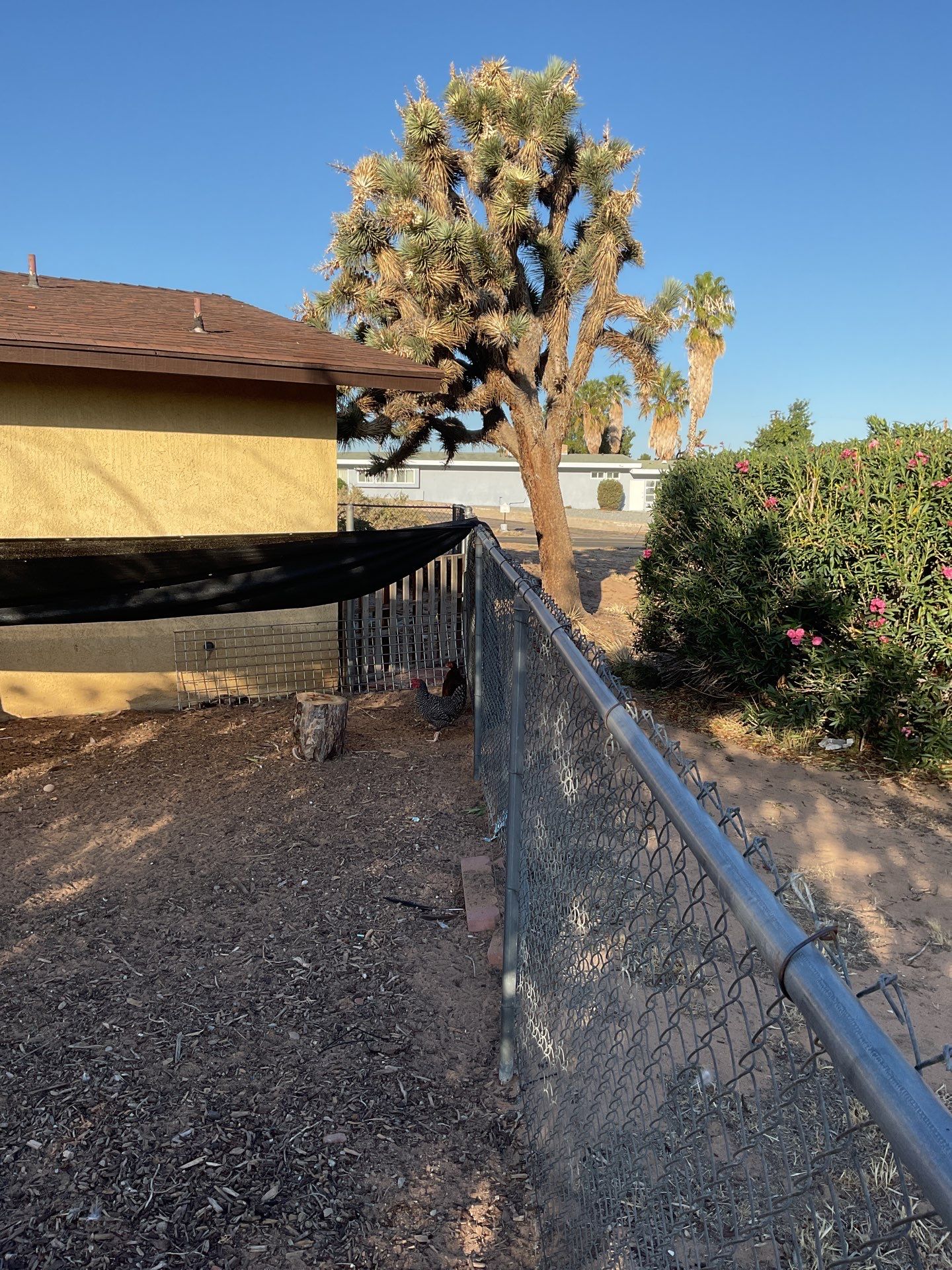 White picket fence  by Fence Guys Inc. 