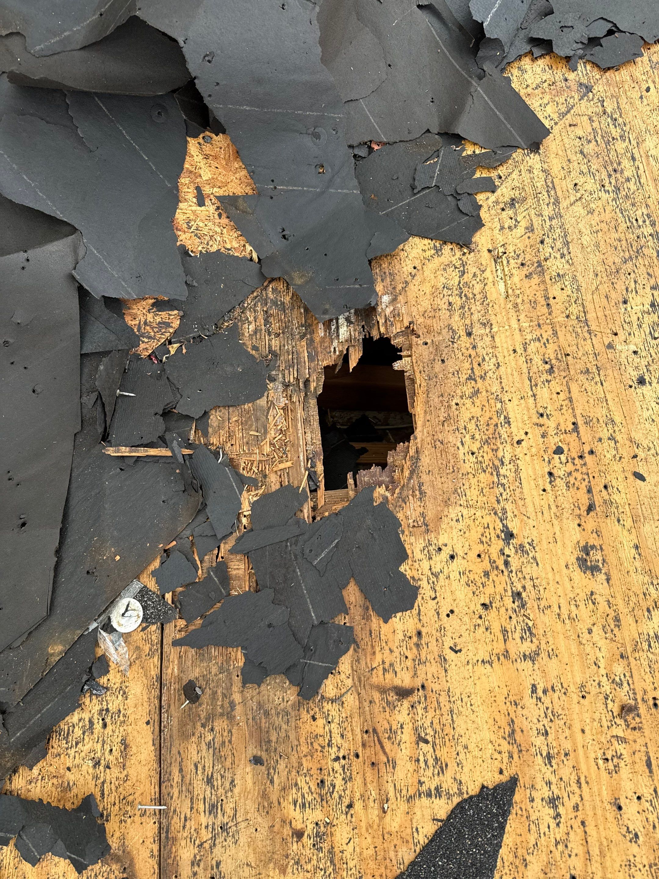 Project in Plano by Rhino Roofing and General Contracting, LLC
