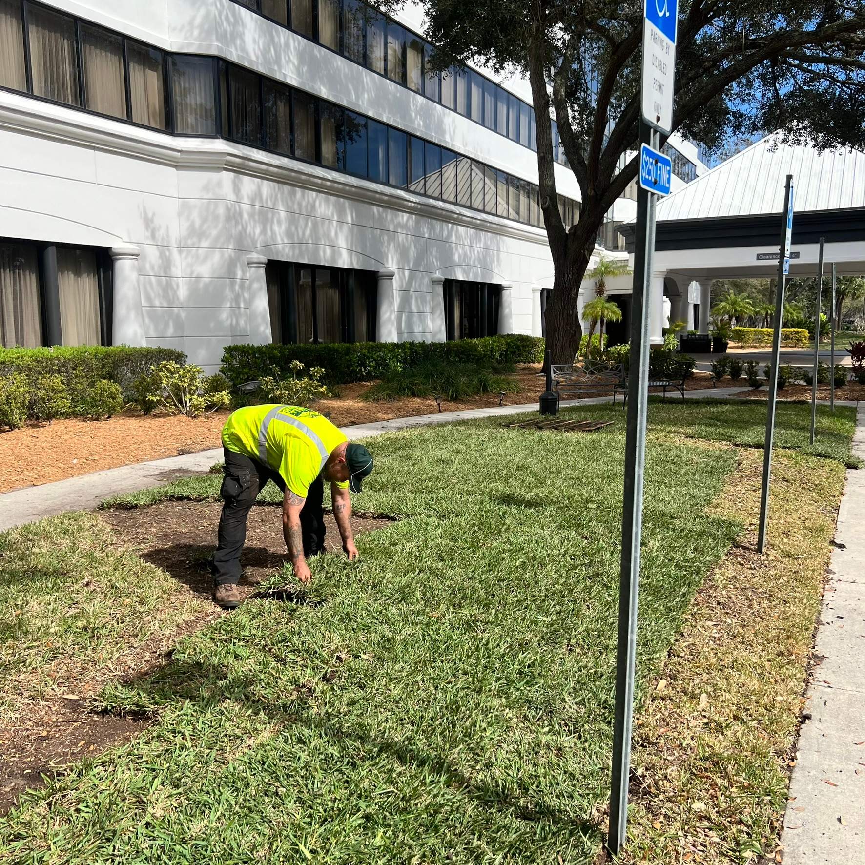Landscape Install | Marriott Hotel by ProGreen Services