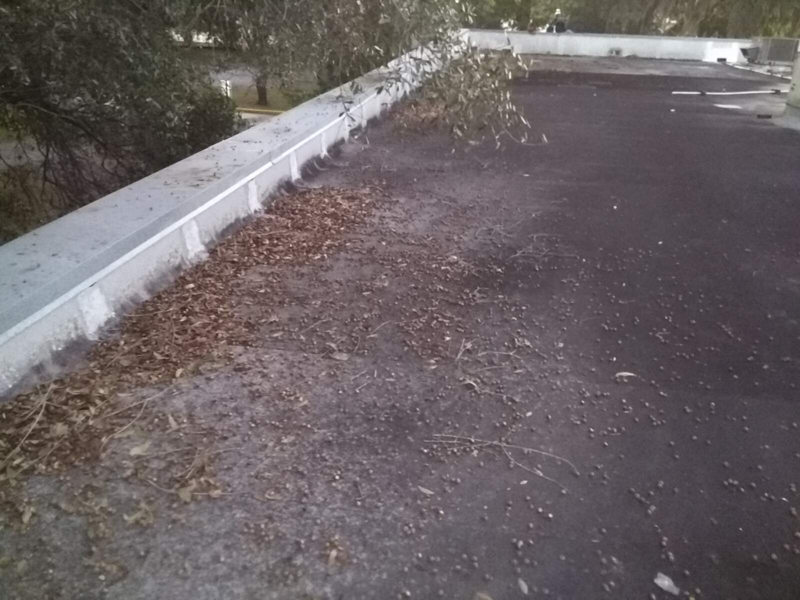 Roof Moisture Survey using Thermal Drone & Thermal Camera by FLORIDA ROOF CONSULTING & INSPECTION SERVICES