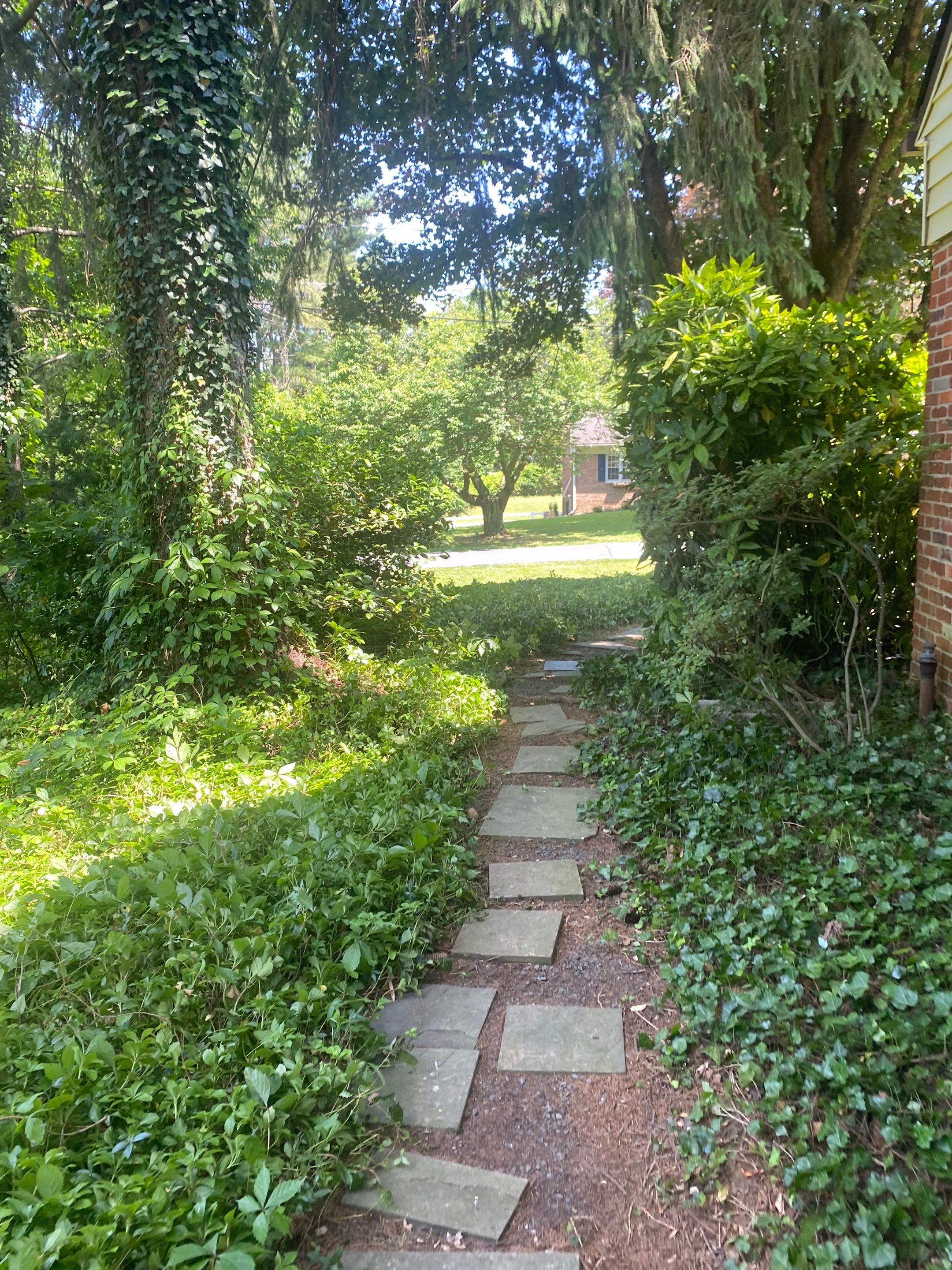 Landscape cleanup & drainage by The Smet Companies, LLC