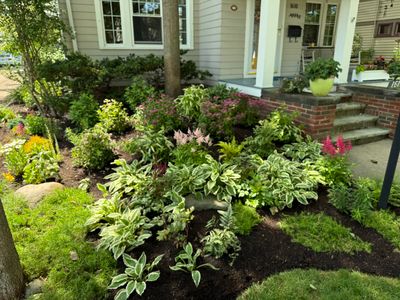 Woodland Flora Project