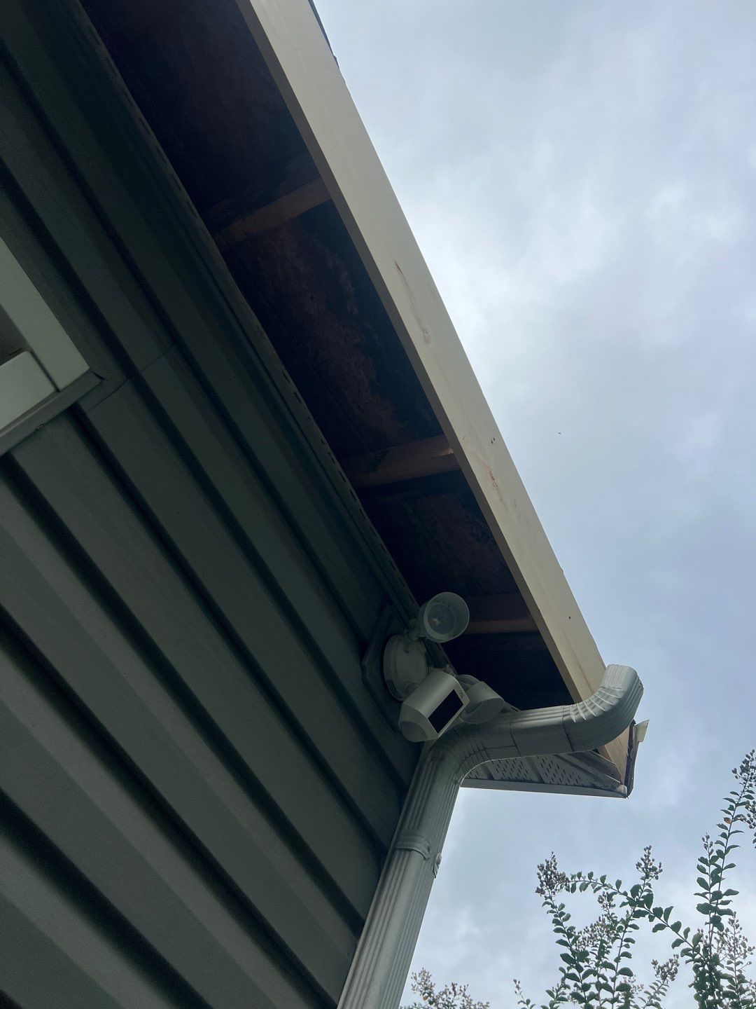 Alexandria: Residential Flat Roof Replacement with MuleHide TPO by RM Banning, Inc.