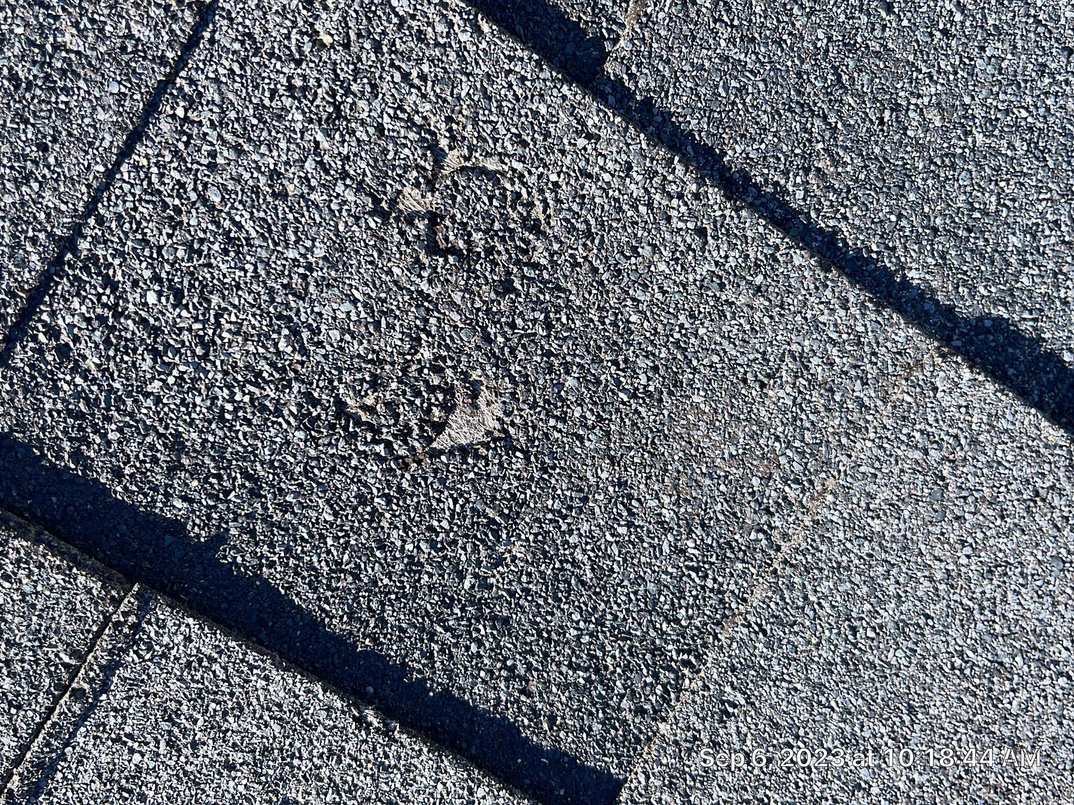 Residential Roofing Installation using Atlas Pinnacle Impact Black Shadow by Blue Peaks Roofing LLC 