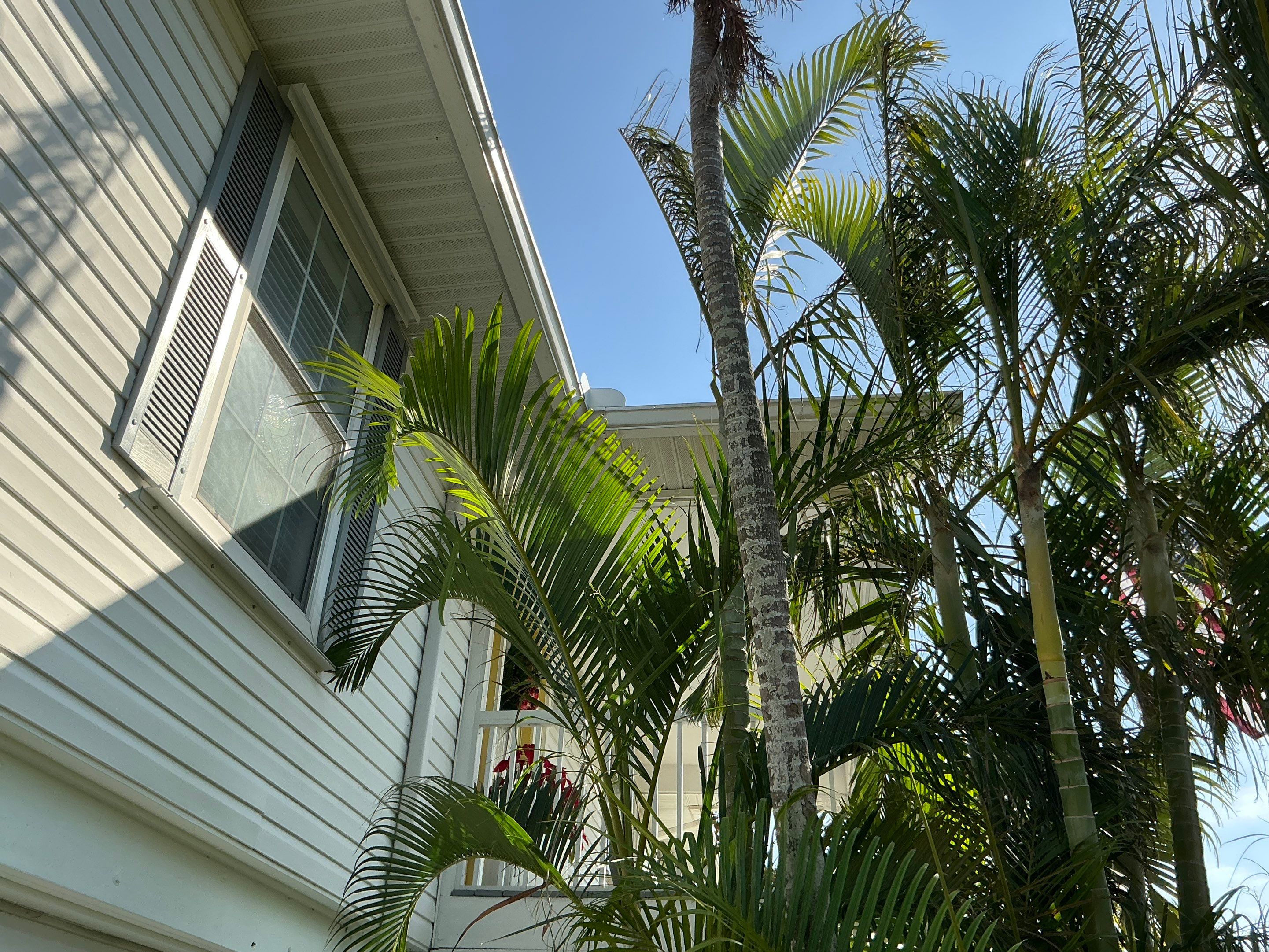 Gutter Inspection Before Installation in Palmetto FL by Gutter Professors