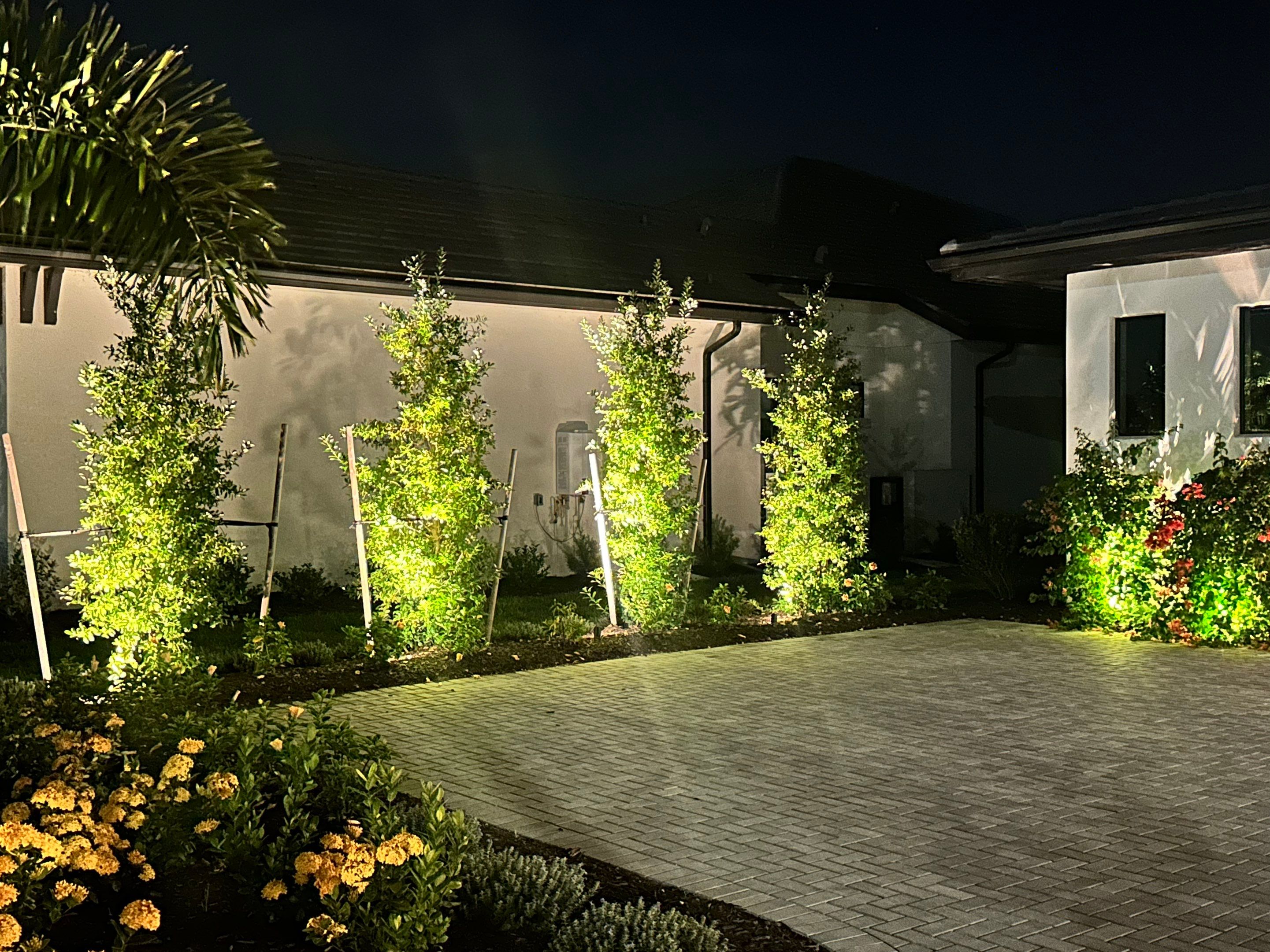 Modern Architectural and Landscape Lighting Installation in Sarasota by Illuminate Landscape Designs