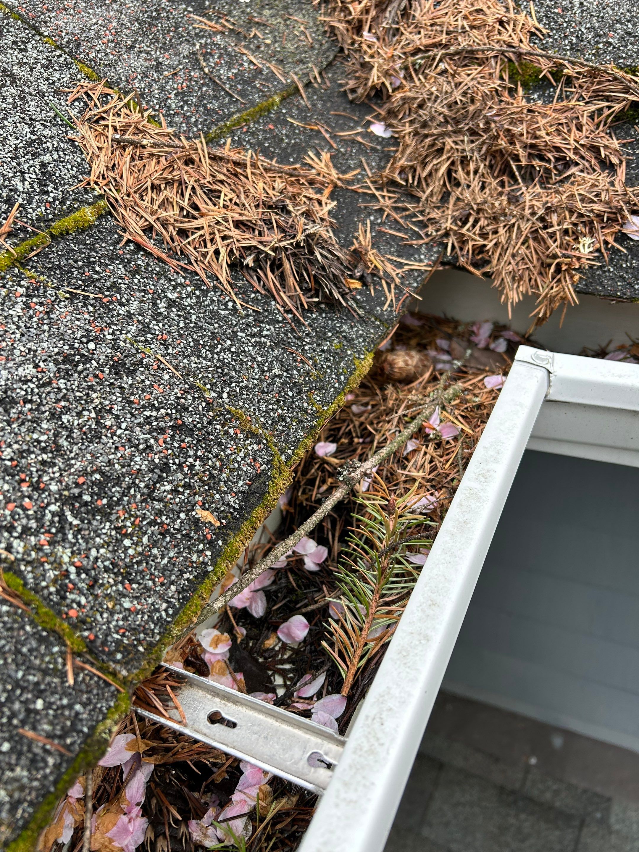 Project in Redmond by Peaks and Valleys Construction