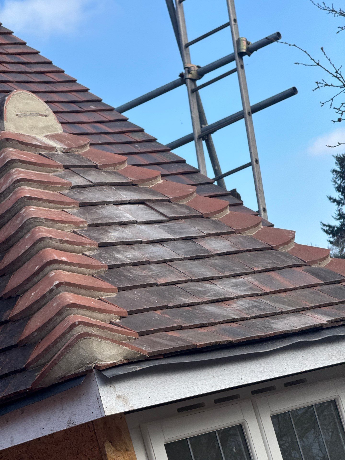 Roof Cleaning and Biocide Treatment using Softwash Equipment by Ges Exterior Cleaning ltd