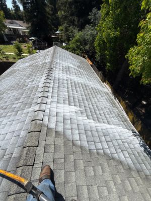 Roof Rejuvenation using Roof Maxx Treatment