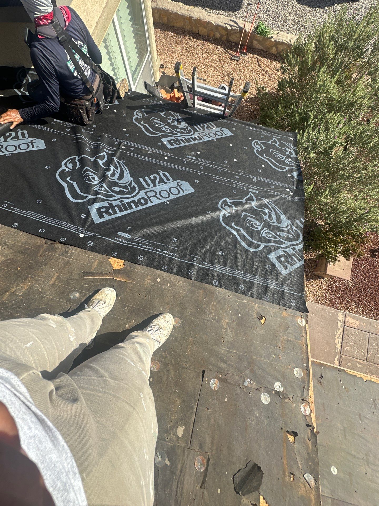 Shingle roof restoration by SPF Services 