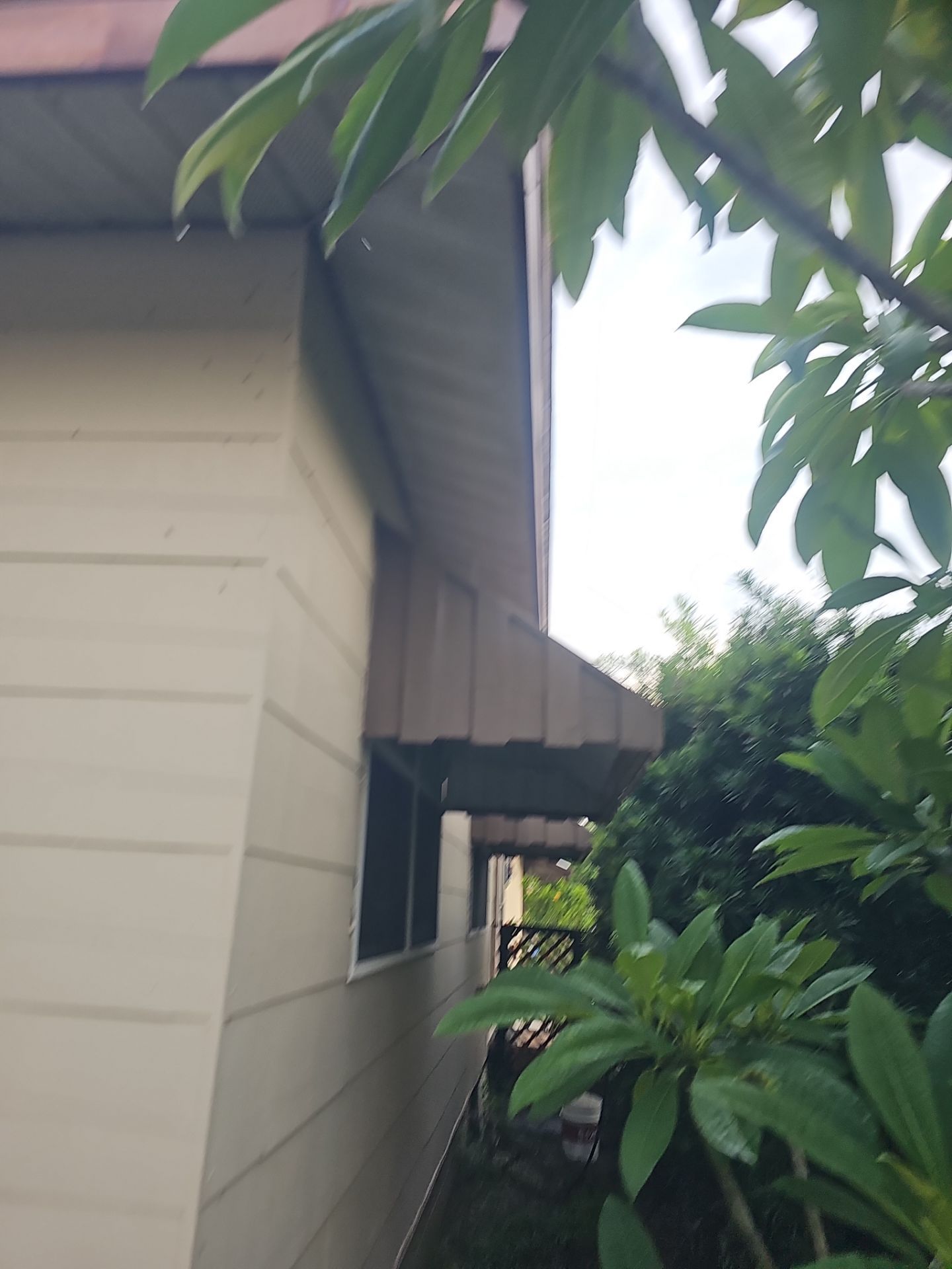 Project in Pinellas Park 33781 by Mitchell Roofing Company LLC