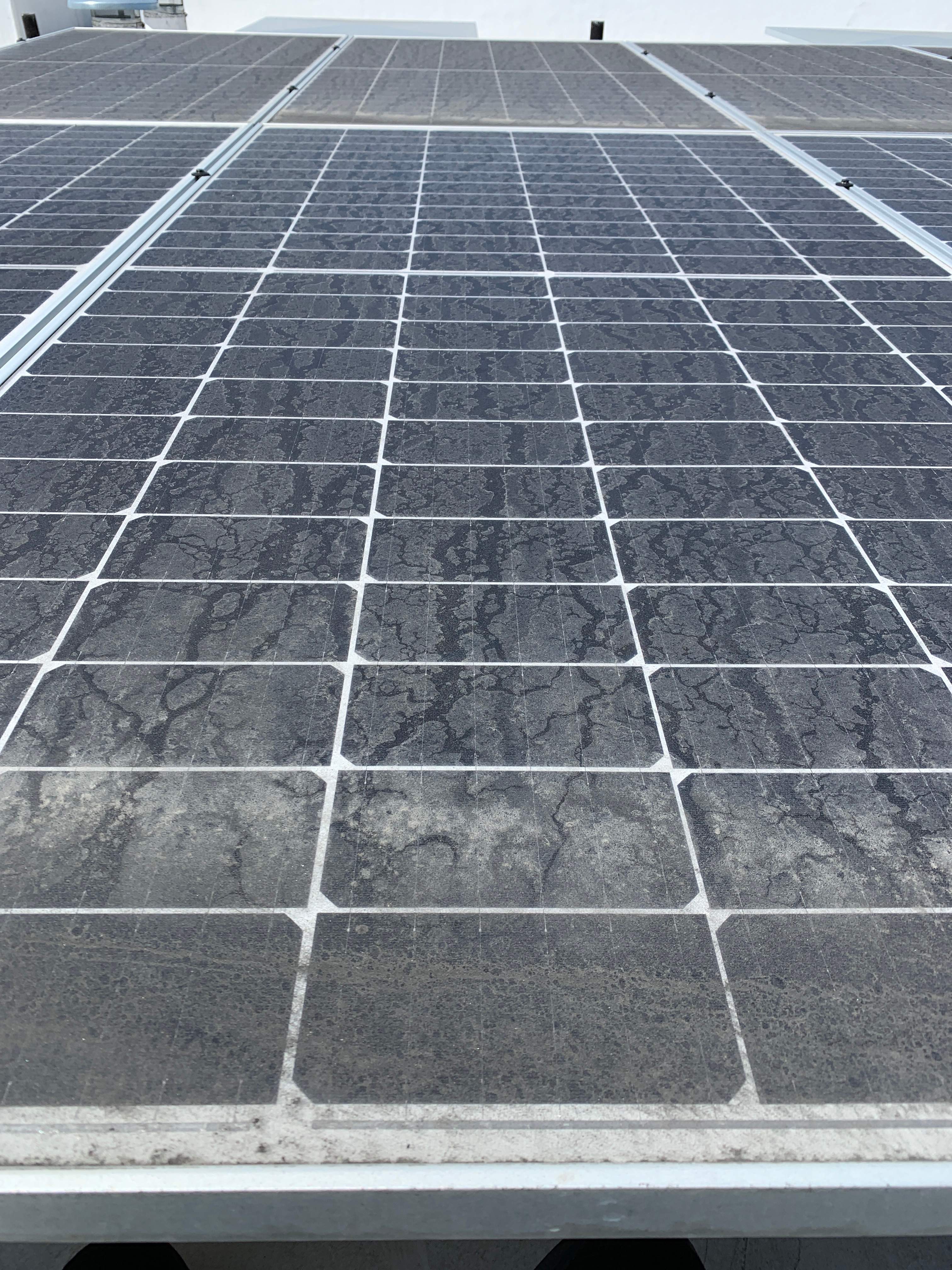 Casey Boyles by SpotFree Window Cleaning