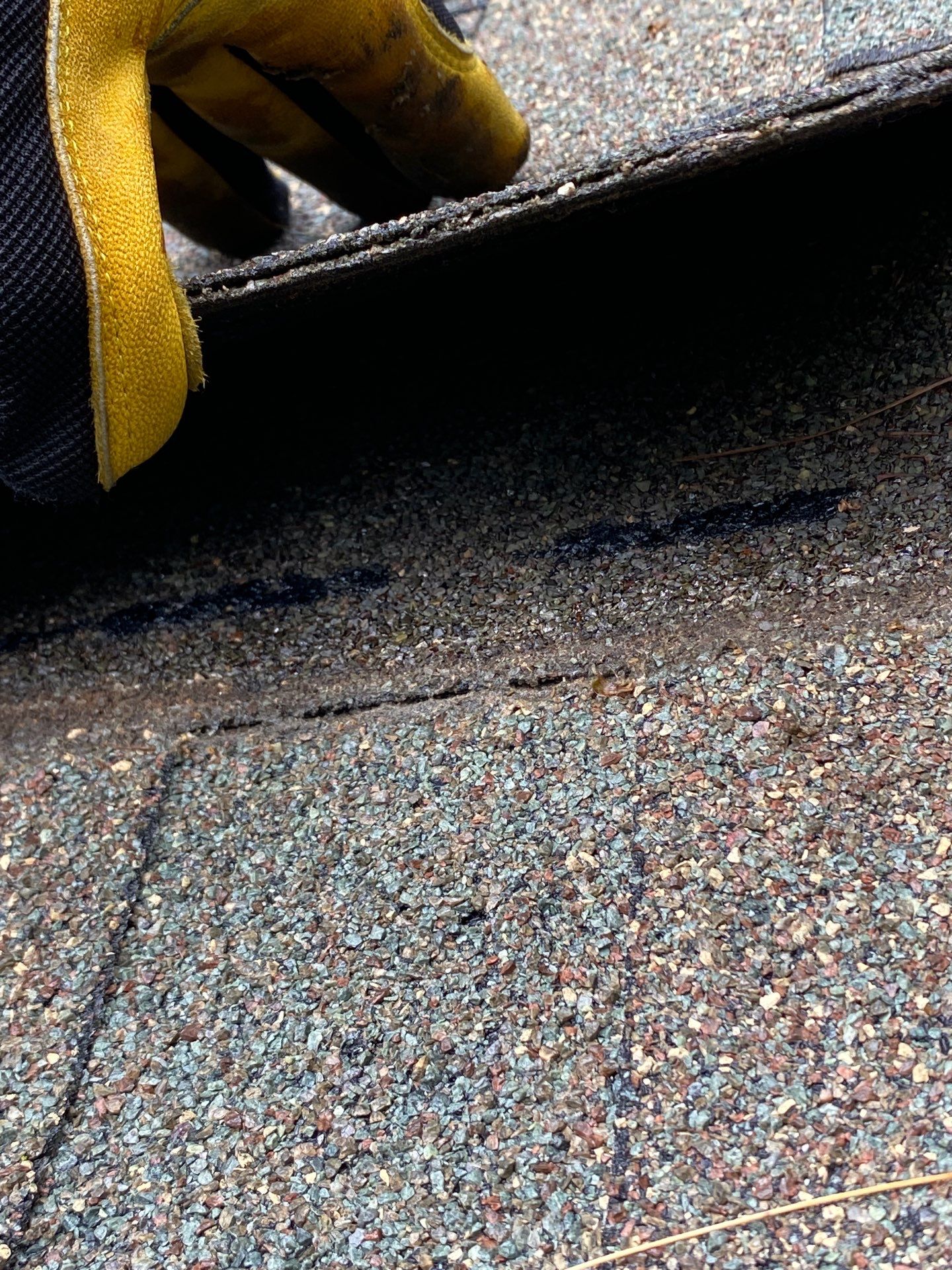 Roofing | Chelmsford by Mighty Dog Roofing of Greater Middlesex County