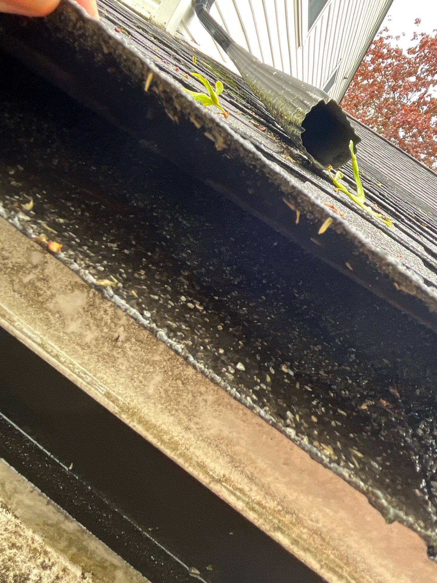 Roof Replacement using Owens Corning Estate Gray by 180 Contractors