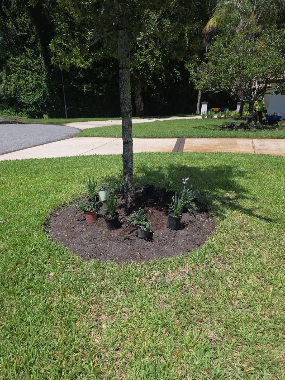 Deerwood Resident | Bed Design & Upgrade by ProGreen Services