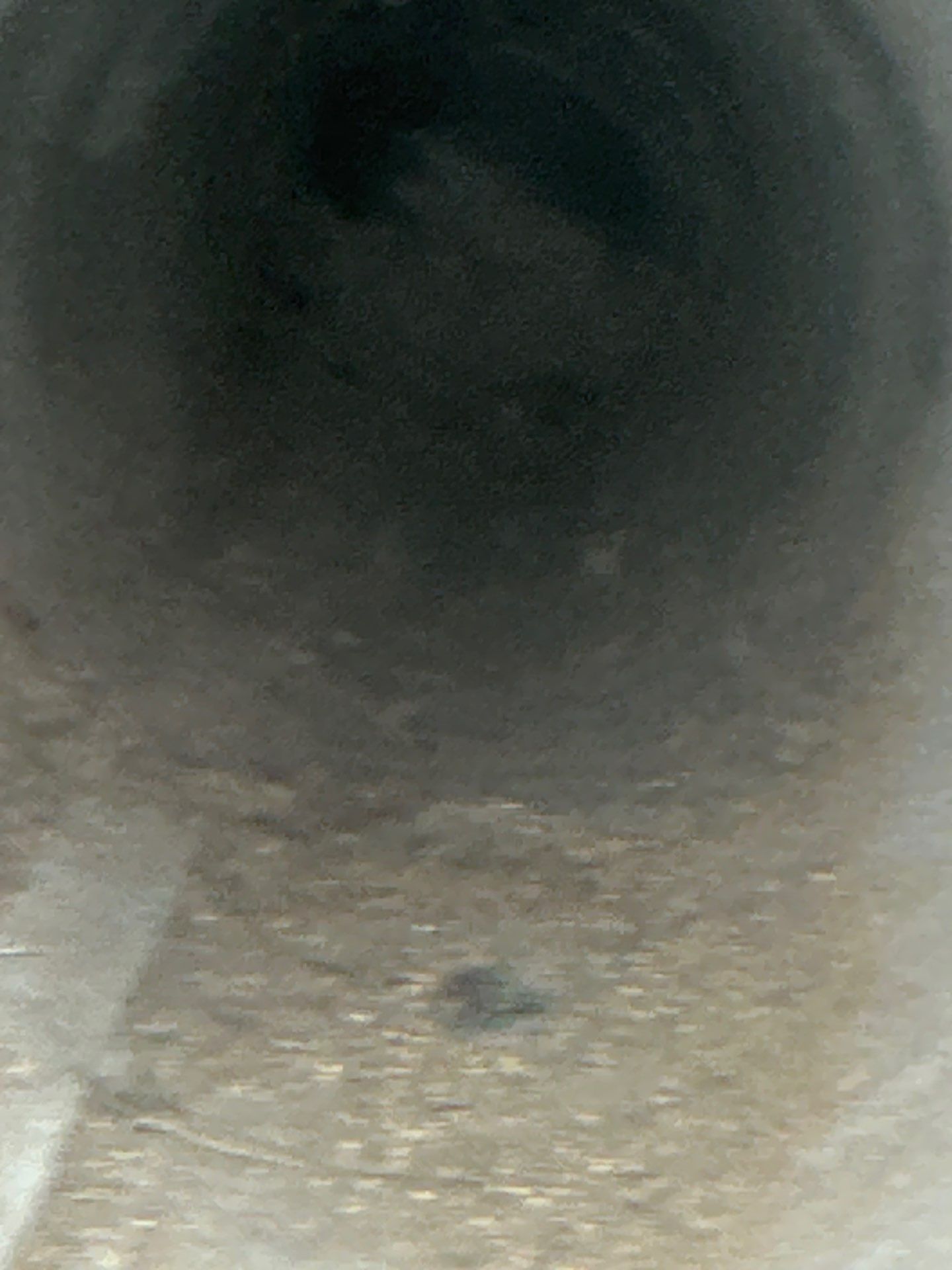 Potential Fire Hazard Avoided! by All Seasons Air Duct Cleaning 