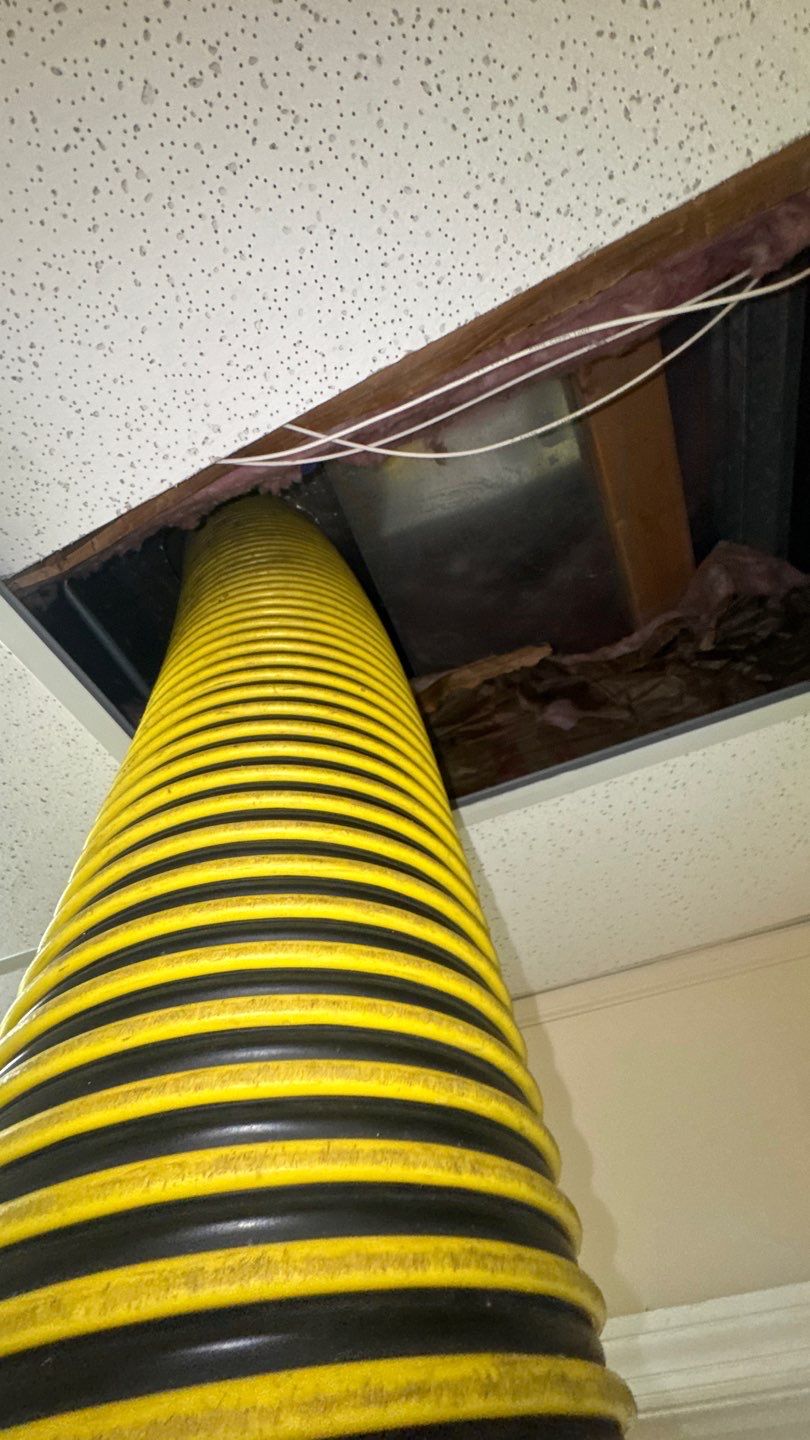 Commercial Air Duct Cleaning in Windermere by Hygienic Air, Inc