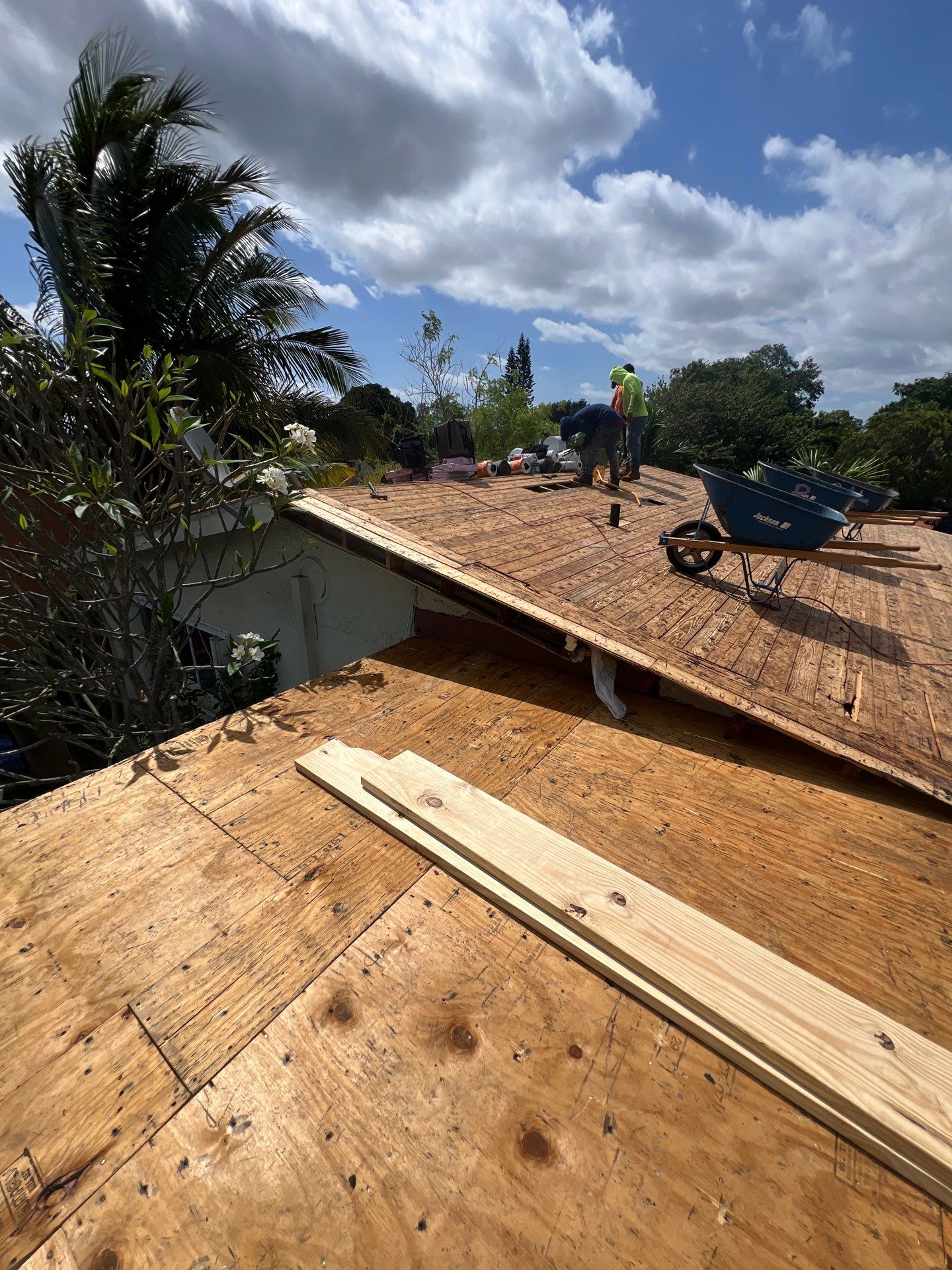 Beautiful Blue Shingle Re-Roof in Hollywood! by First Due Roofing